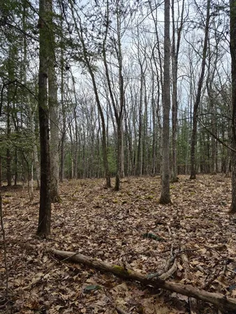 $950,000 | Crotty Drive, Bellows Falls, VT 05101