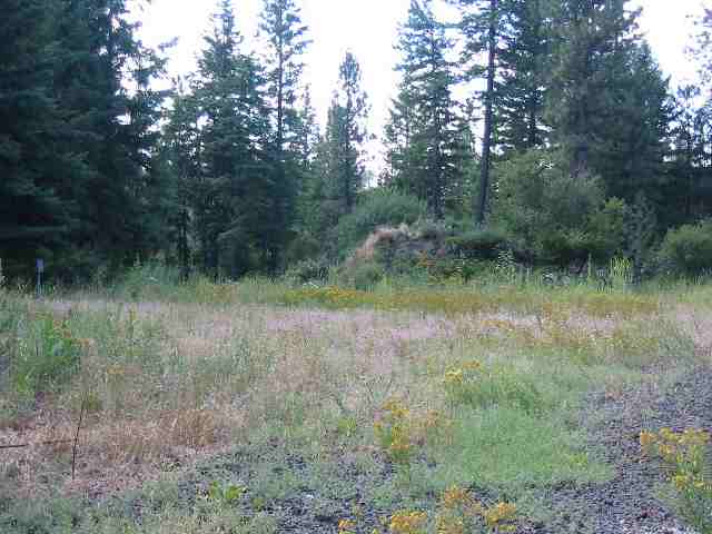 28412 Thunderhill Road Chattaroy, WA 99003 - Photo 8 of 9 Gallery Image 8
