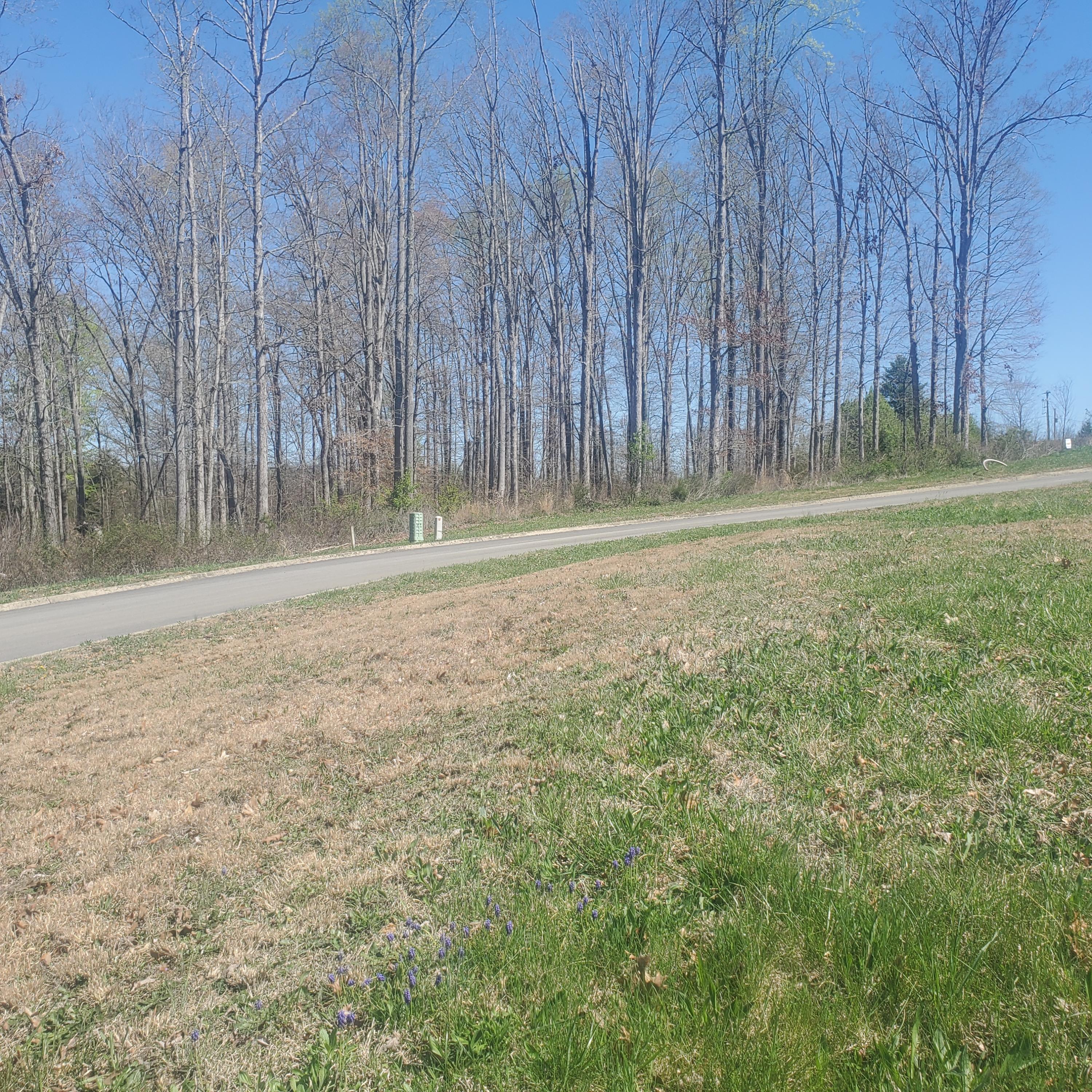 Lot 153 Tumbleweed Trail Rutledge, TN 37861 - Photo 8 of 25 8