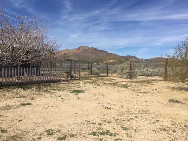 9270 Frontage Road West Mojave, CA 93501 - Photo 2 of 7 a view of a backyard with a large tree