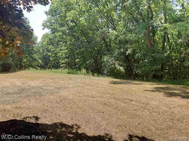 5930 Ronnoco Road Rochester, MI 48306 - Photo 64 of 67 64.JPG