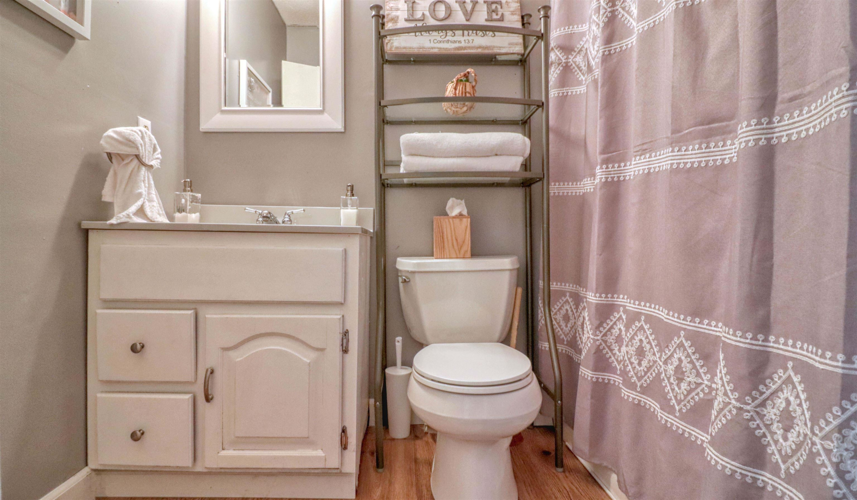 390 Lowery Road Medon, TN 38356 - Photo 20 of 24 a bathroom with a toilet sink and vanity