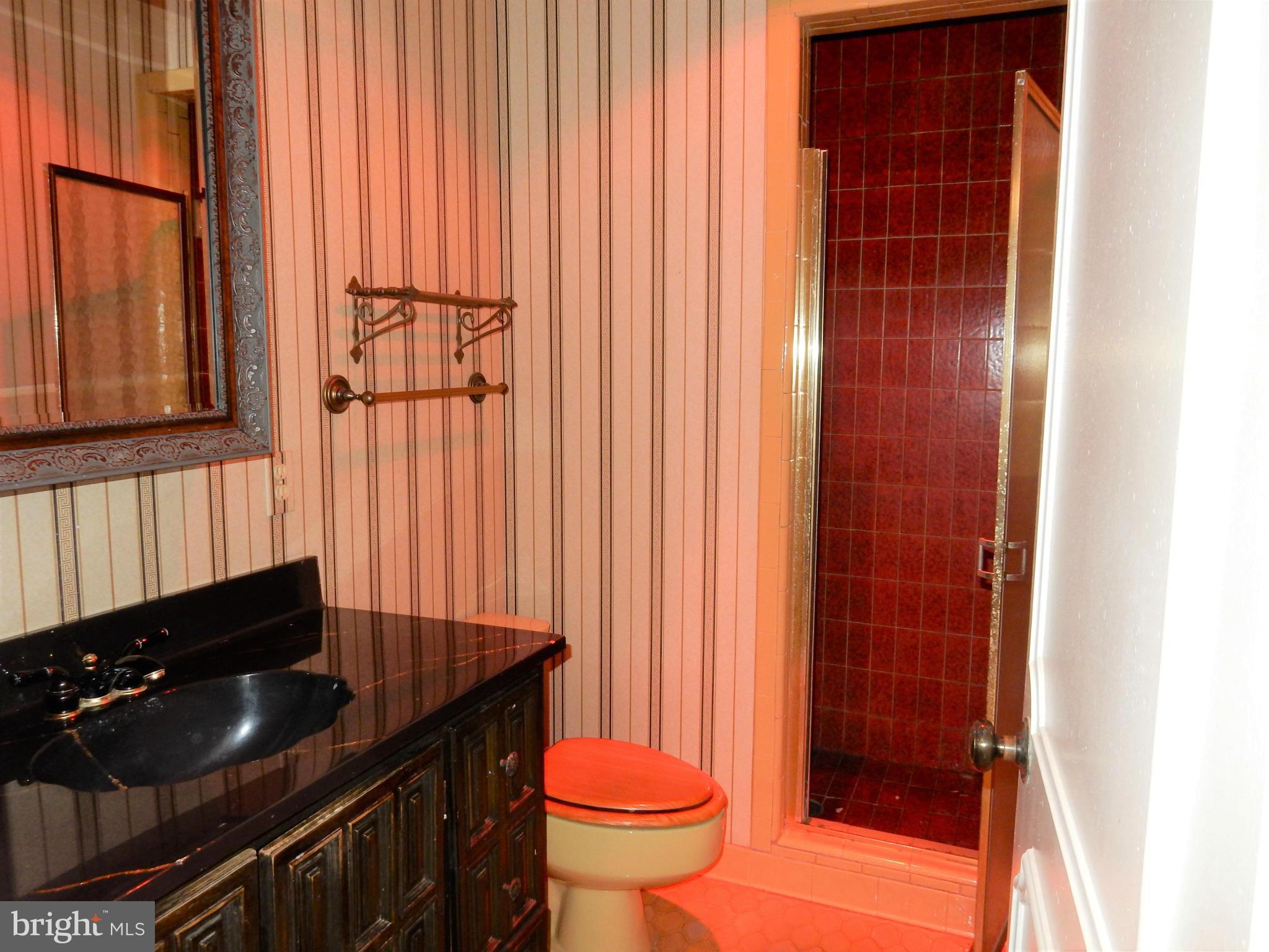 11311 Stuart Mill Road Oakton, VA 22124 - Photo 14 of 30 Master Bathroom with Shower