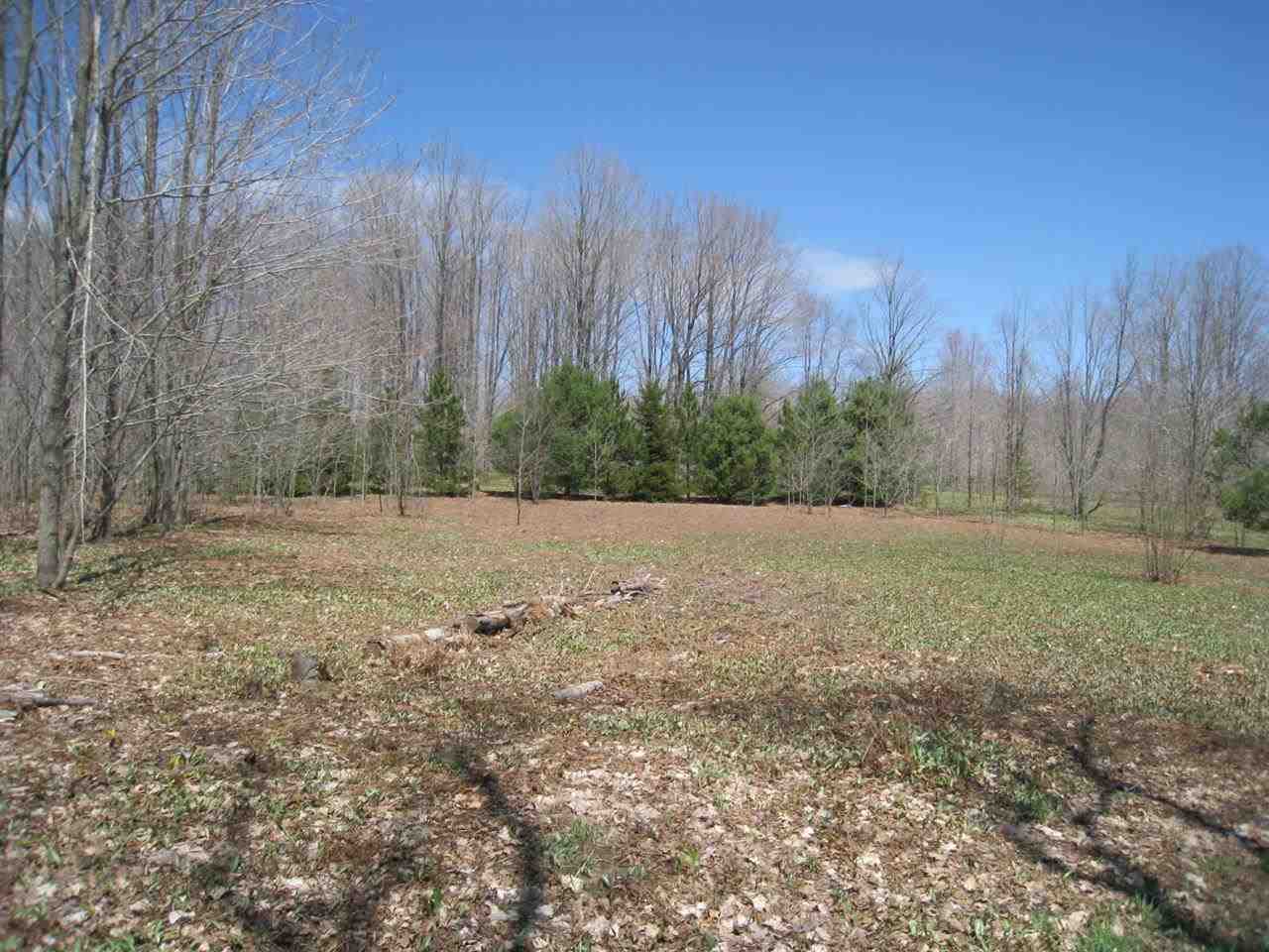 12852 Oakley Road Honor, MI 49640 - Photo 12 of 31 1783949-13.JPG