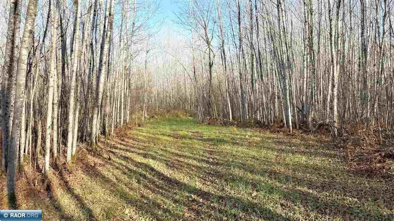 11680 Co Road Orr, MN 55771 - Photo 12 of 23