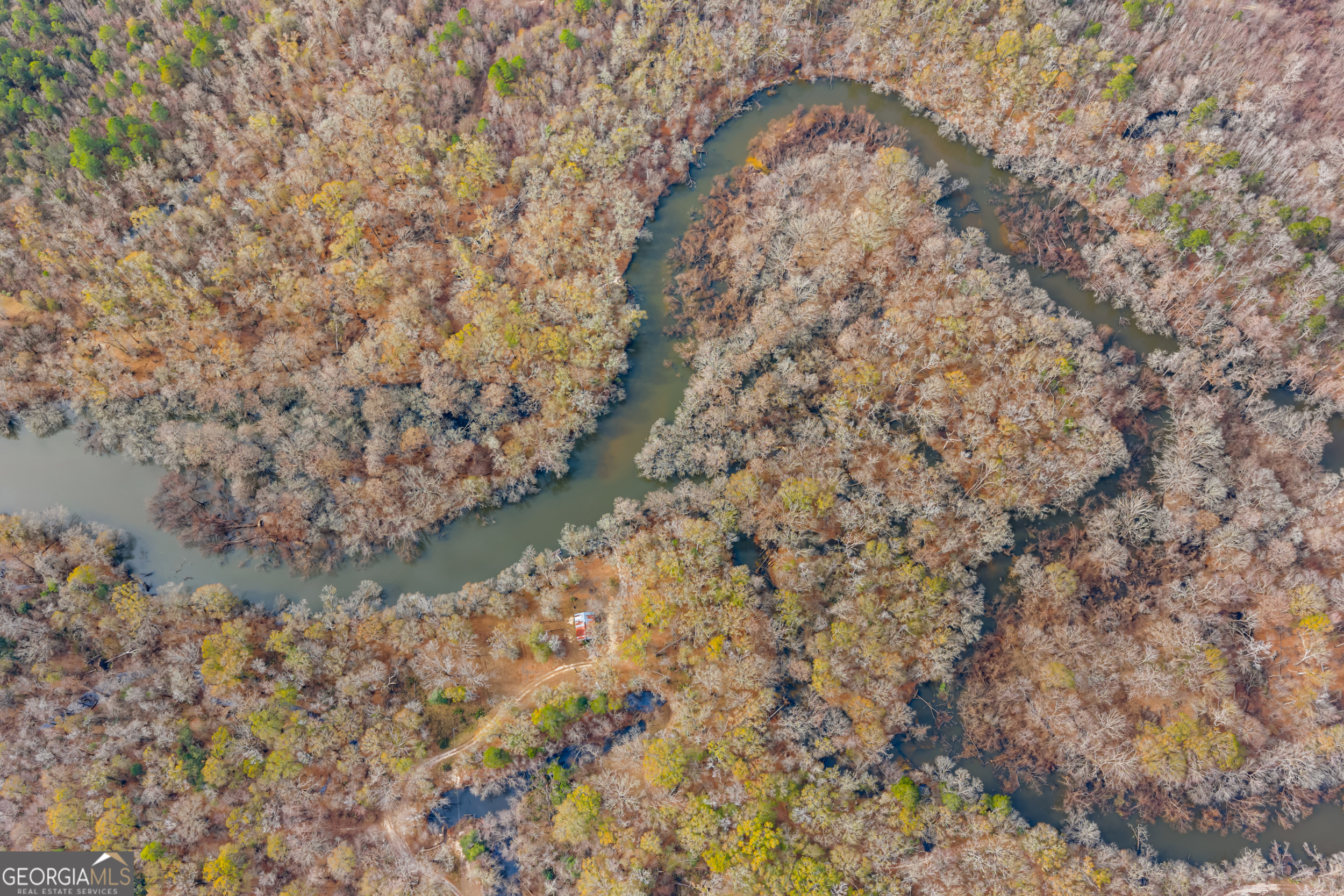 1000 Old River Road South Brooklet, GA 30415 - Photo 11 of 55 a close up of a tree