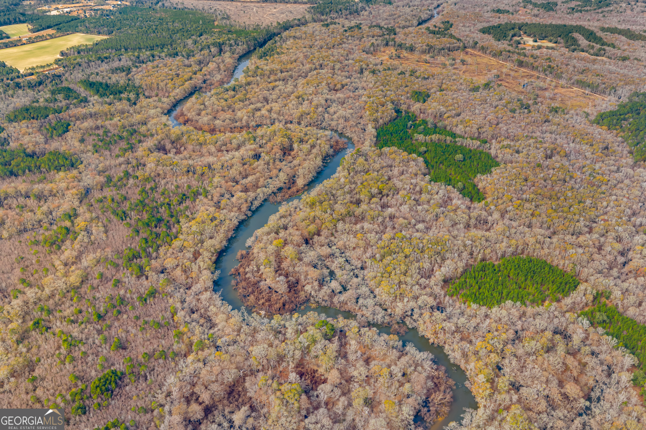 1000 Old River Road South Brooklet, GA 30415 - Photo 12 of 55 a view of a yard with plants and a bench