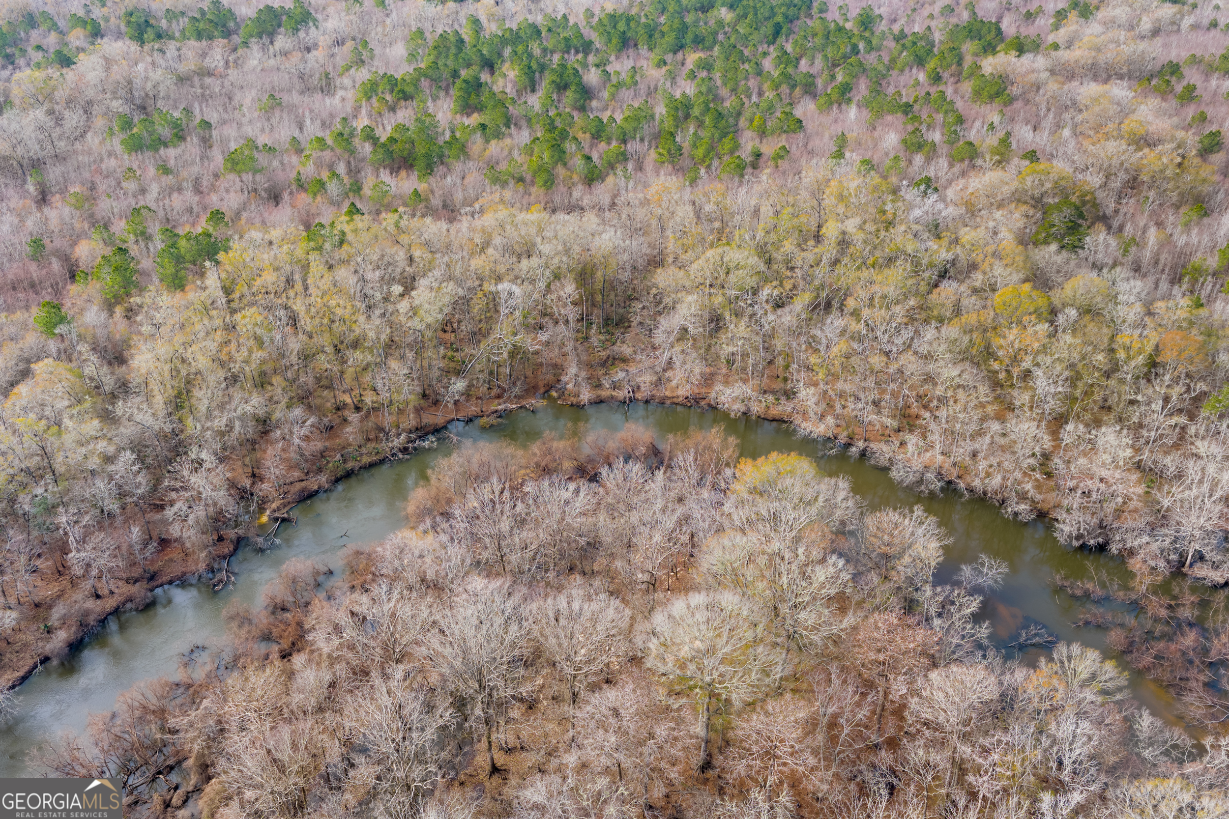 1000 Old River Road South Brooklet, GA 30415 - Photo 14 of 55 a view of a yard with a tree