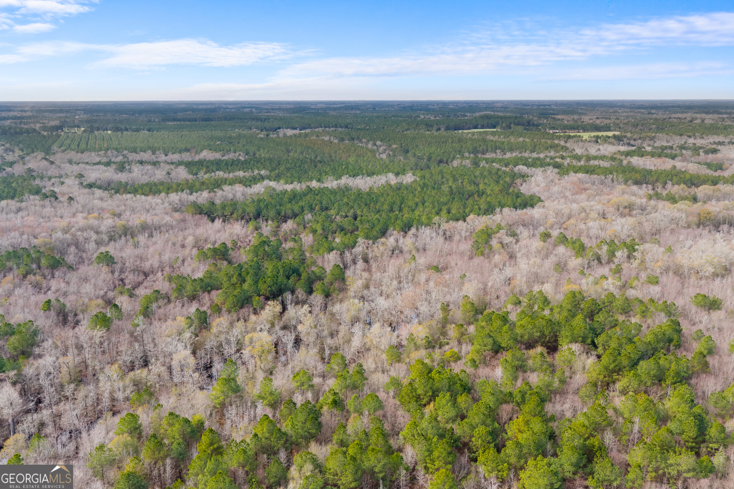 1000 Old River Road South Brooklet, GA 30415 - Photo 15 of 55 a view of lake with mountain