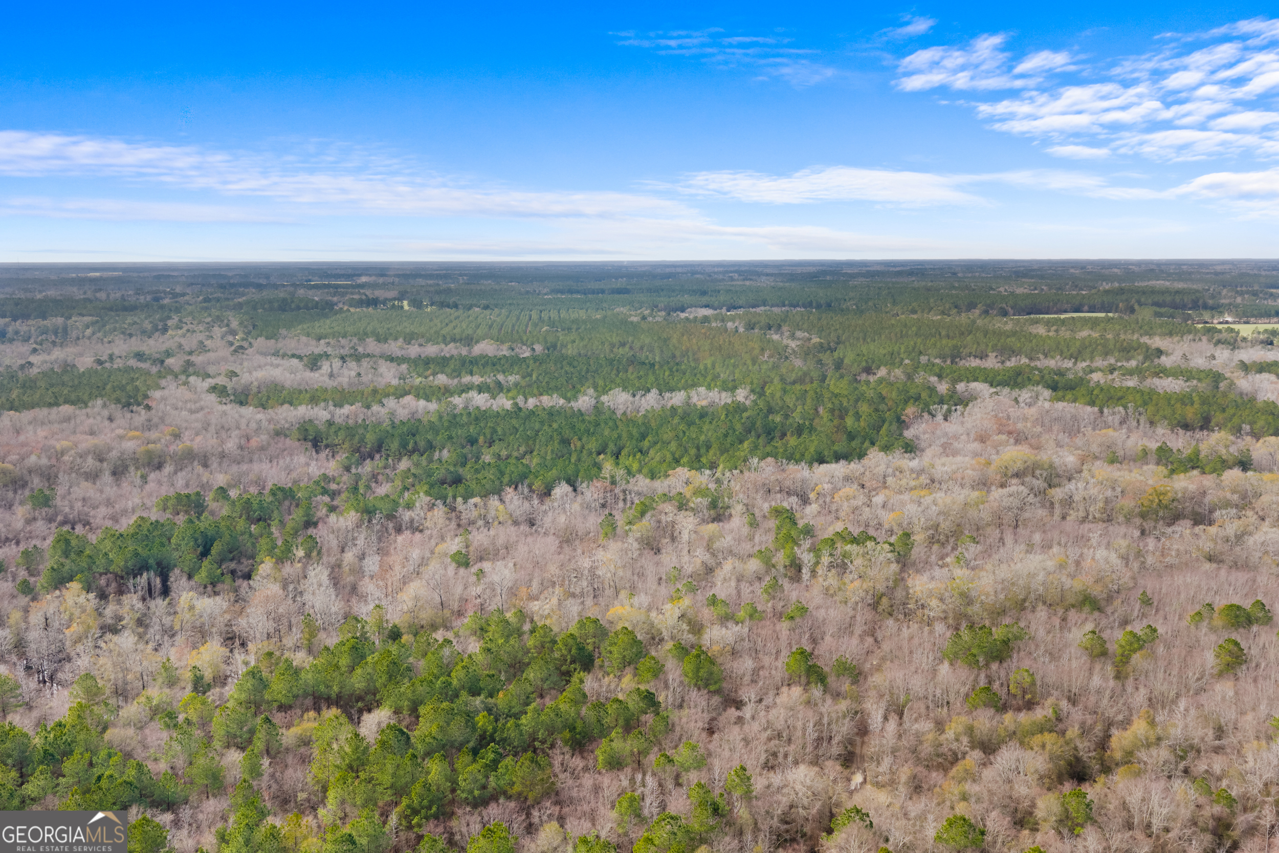 1000 Old River Road South Brooklet, GA 30415 - Photo 16 of 55 a view of an outdoor space with a lake view