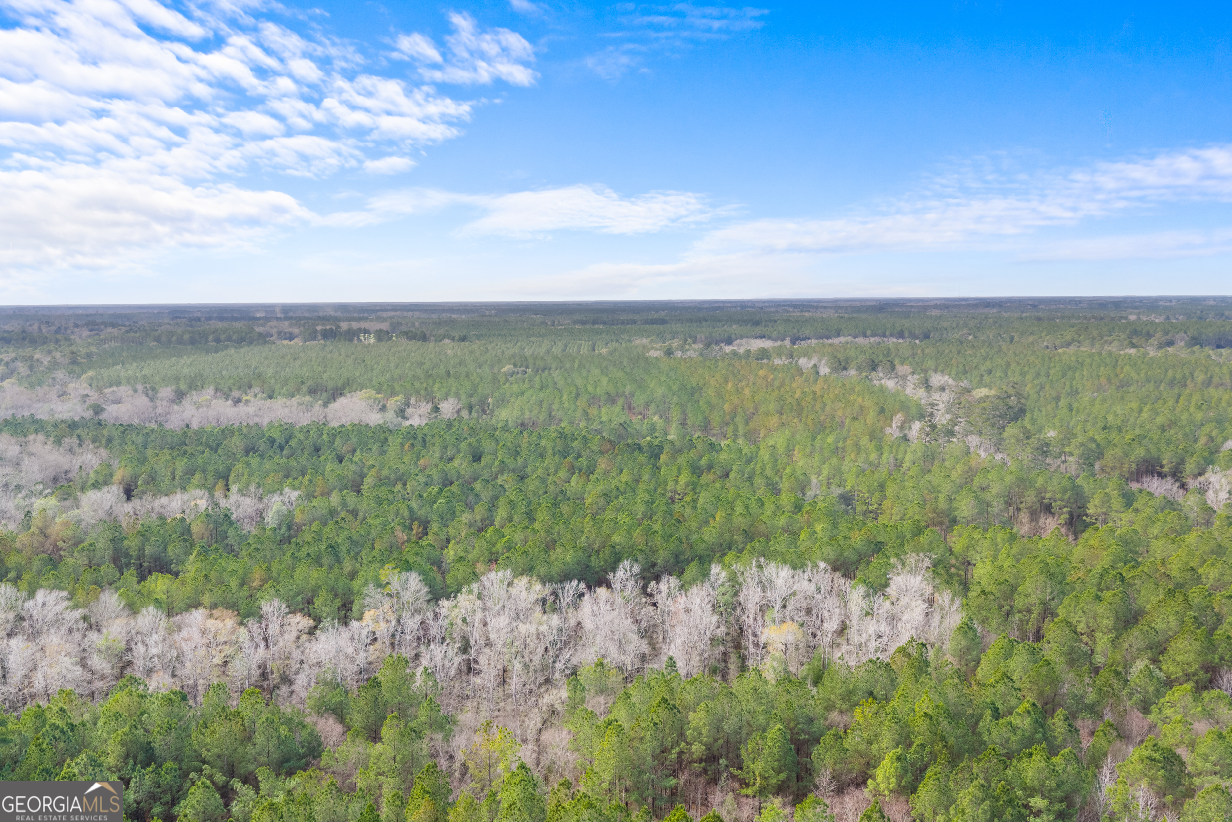 1000 Old River Road South Brooklet, GA 30415 - Photo 19 of 55 a view of lake with green space