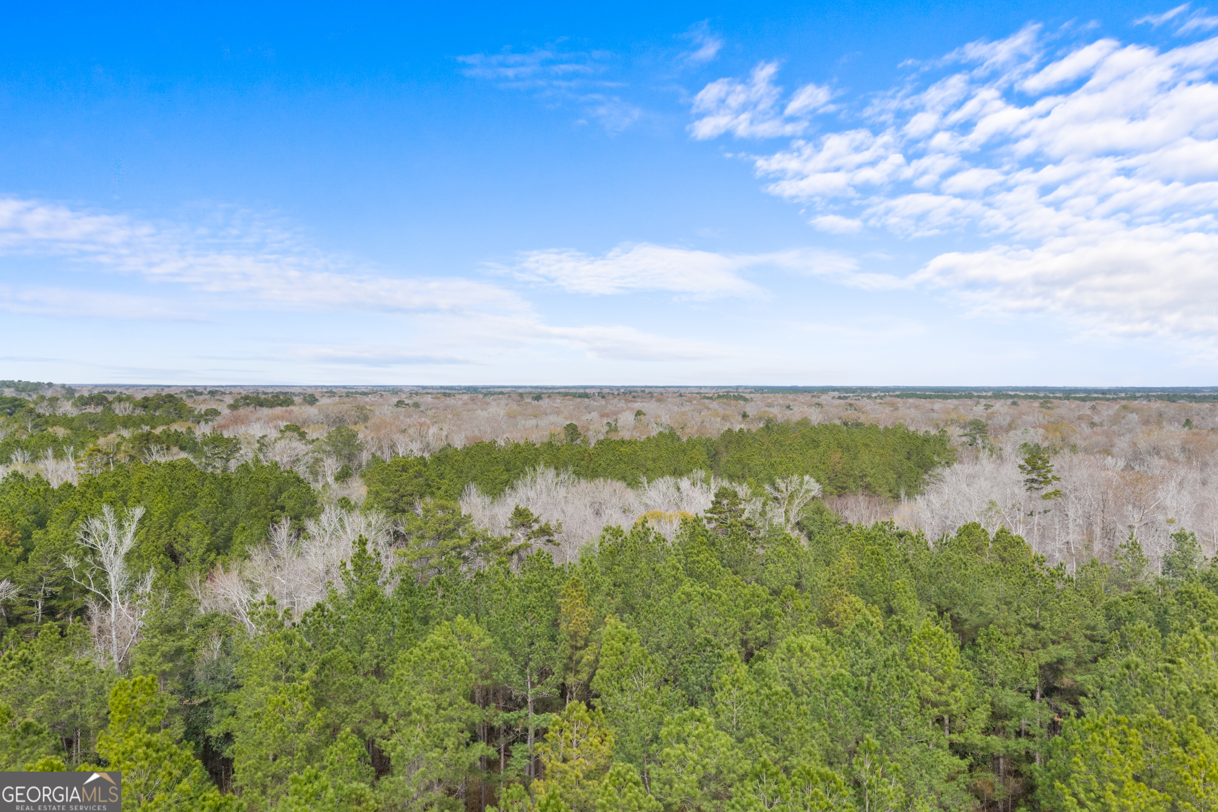 1000 Old River Road South Brooklet, GA 30415 - Photo 20 of 55 a view of lake with green space