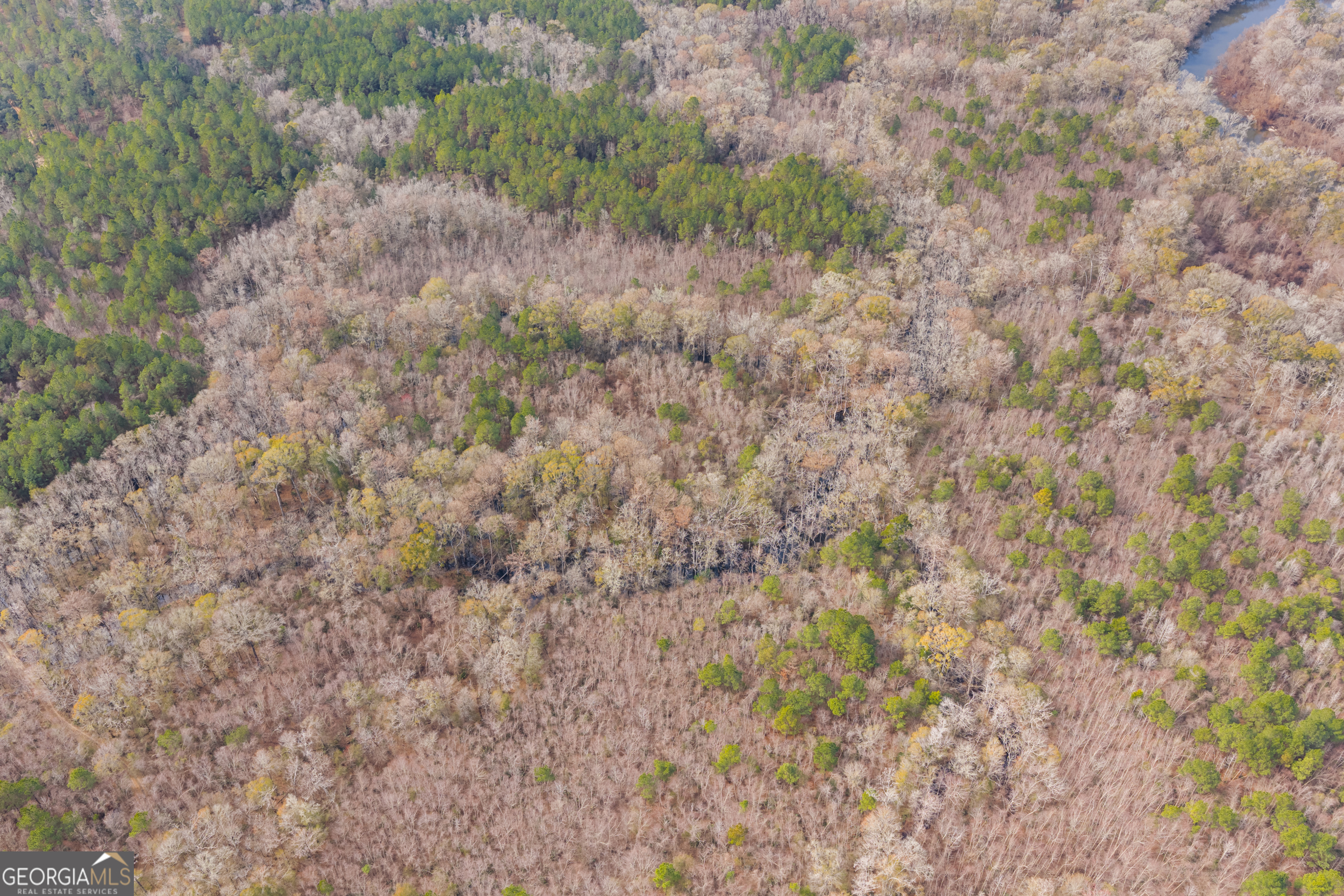 1000 Old River Road South Brooklet, GA 30415 - Photo 21 of 55 a view of a dry field with trees in the background