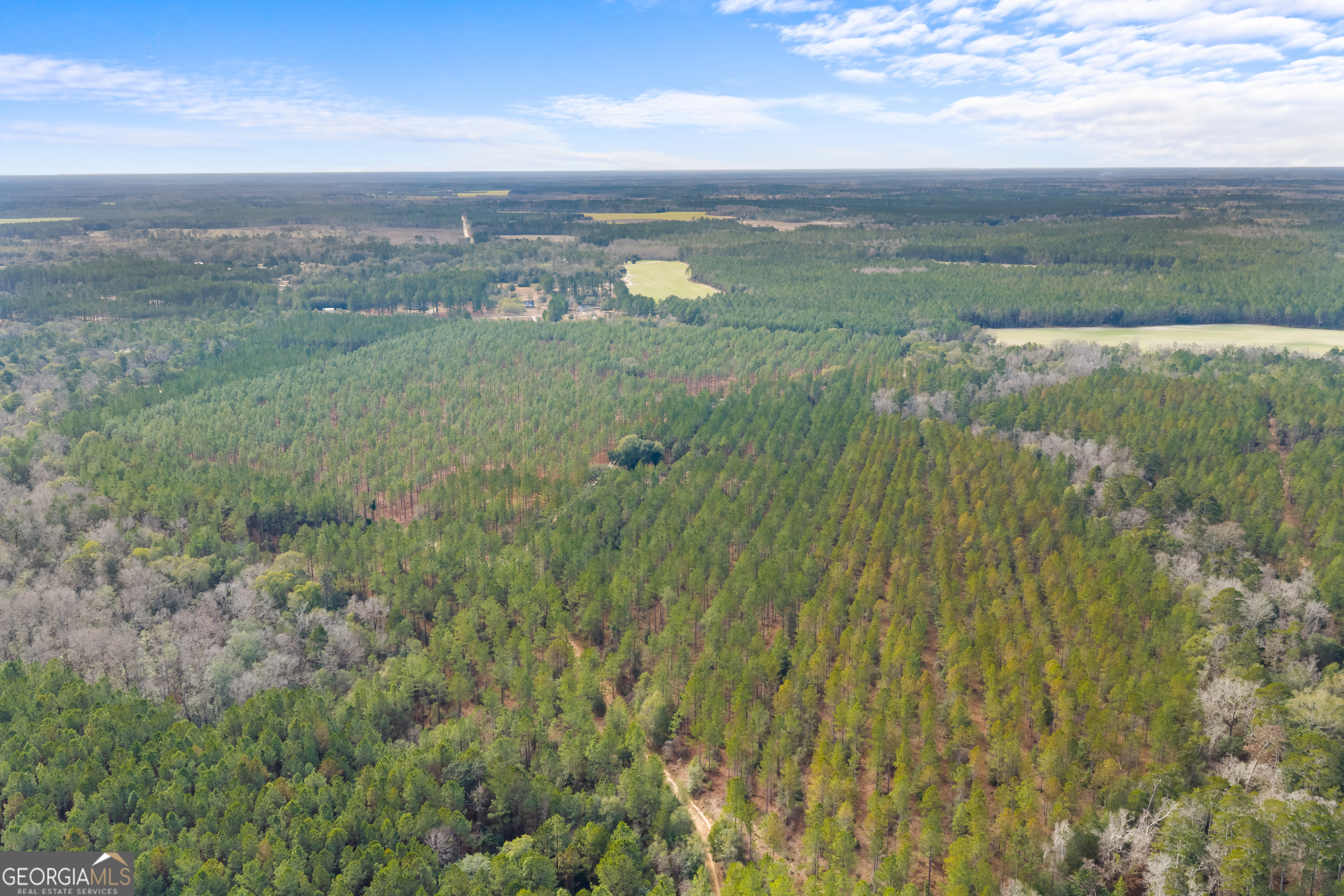 1000 Old River Road South Brooklet, GA 30415 - Photo 24 of 55