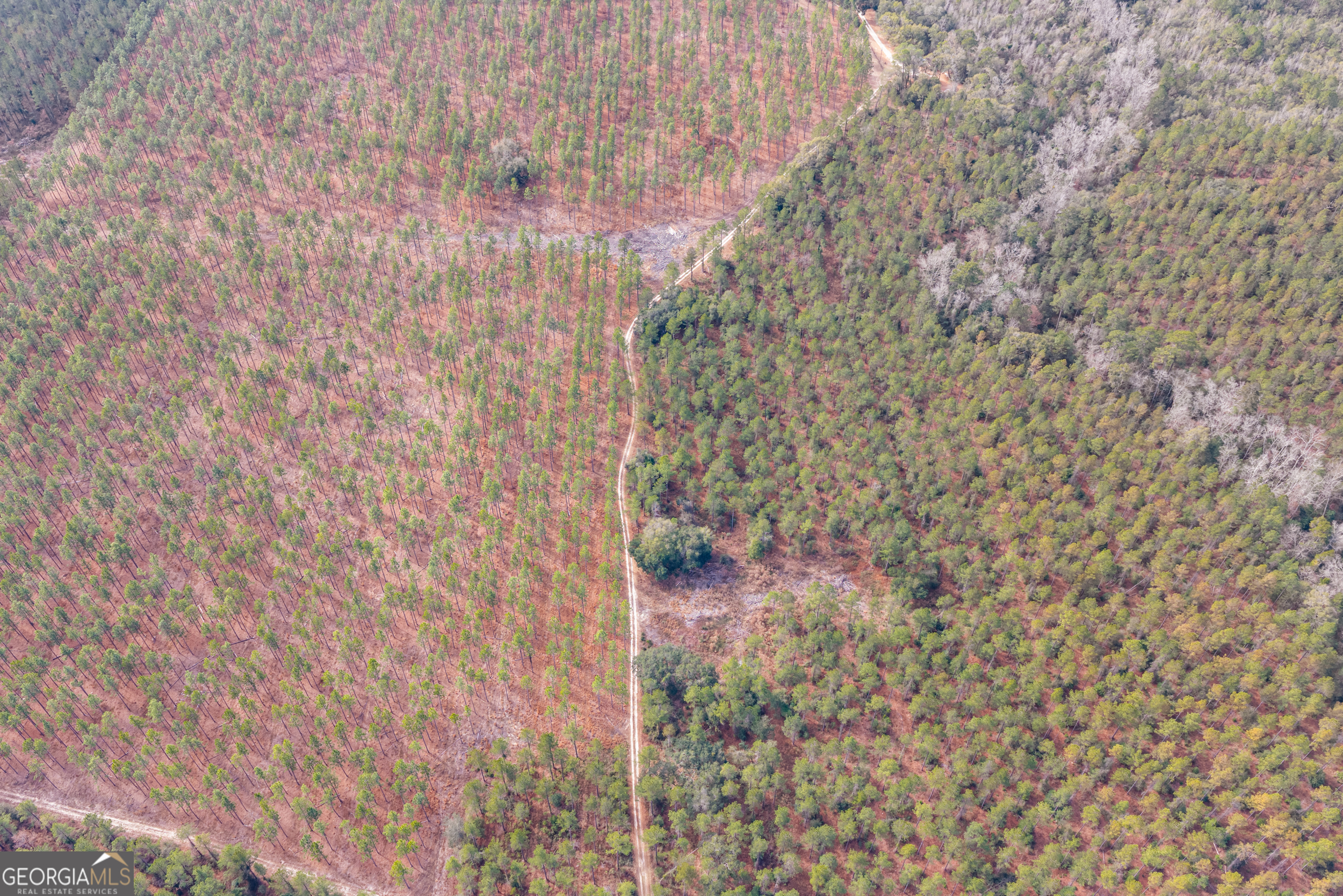 1000 Old River Road South Brooklet, GA 30415 - Photo 25 of 55 a bathroom with a shower curtain