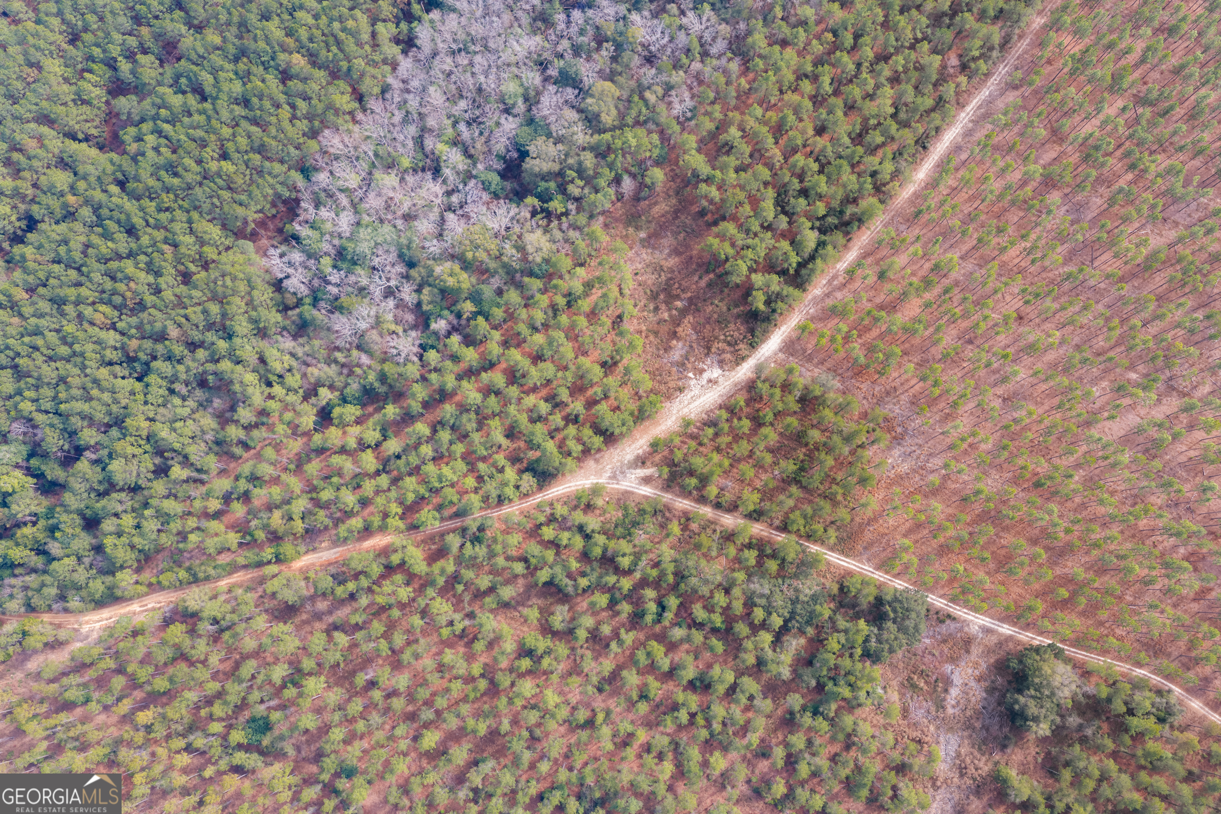 1000 Old River Road South Brooklet, GA 30415 - Photo 26 of 55 a close up of a plant in a bathroom