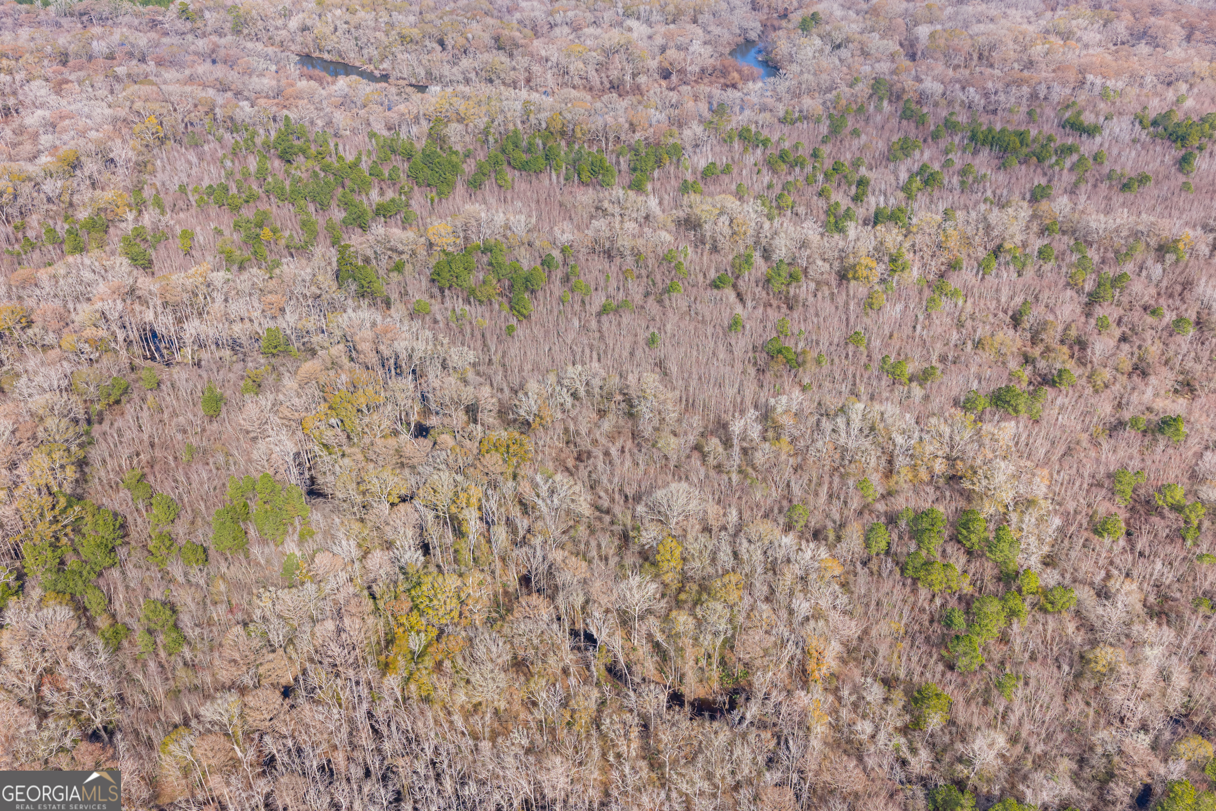 1000 Old River Road South Brooklet, GA 30415 - Photo 27 of 55 a view of a dry yard