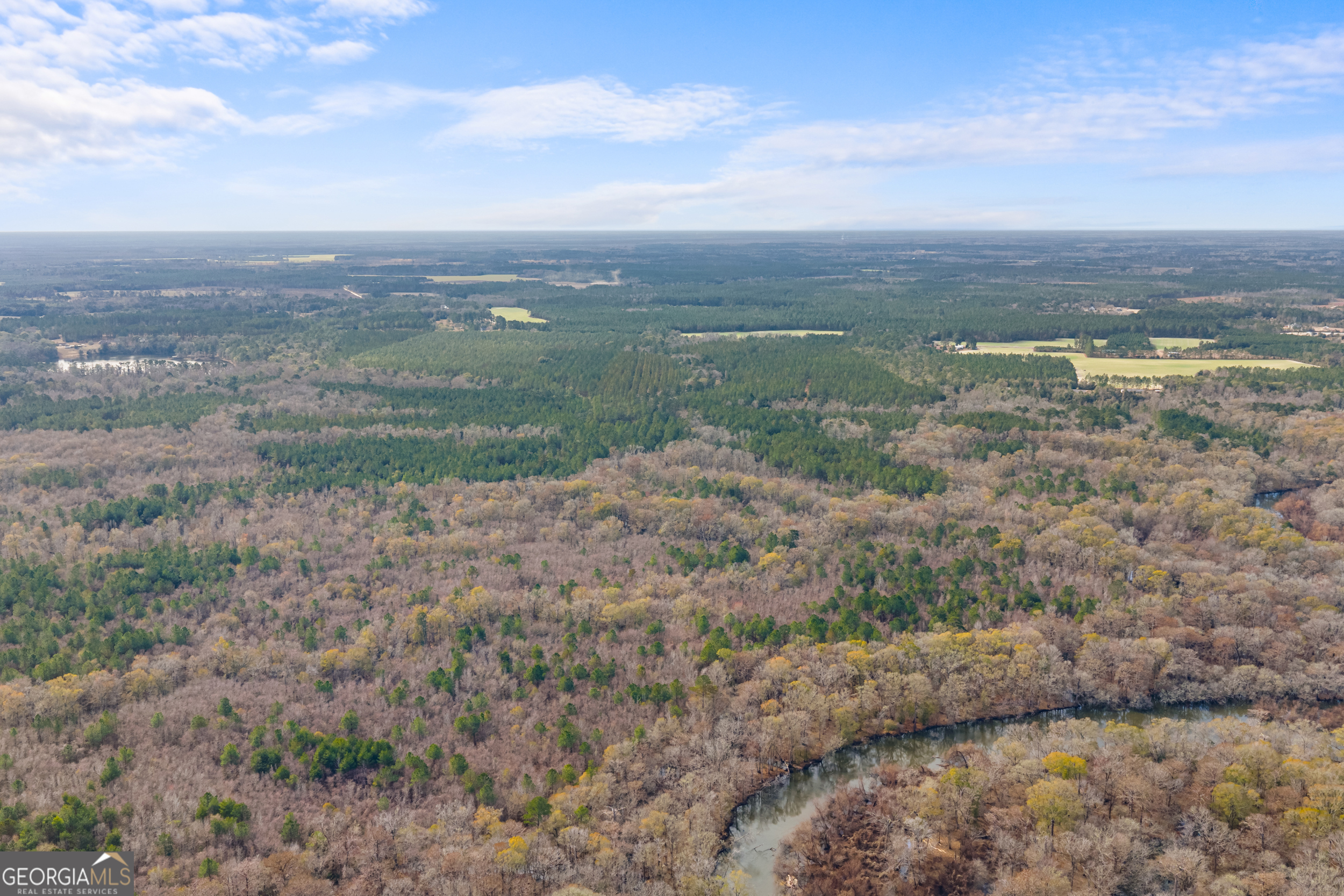 1000 Old River Road South Brooklet, GA 30415 - Photo 28 of 55 a view of a field with an ocean