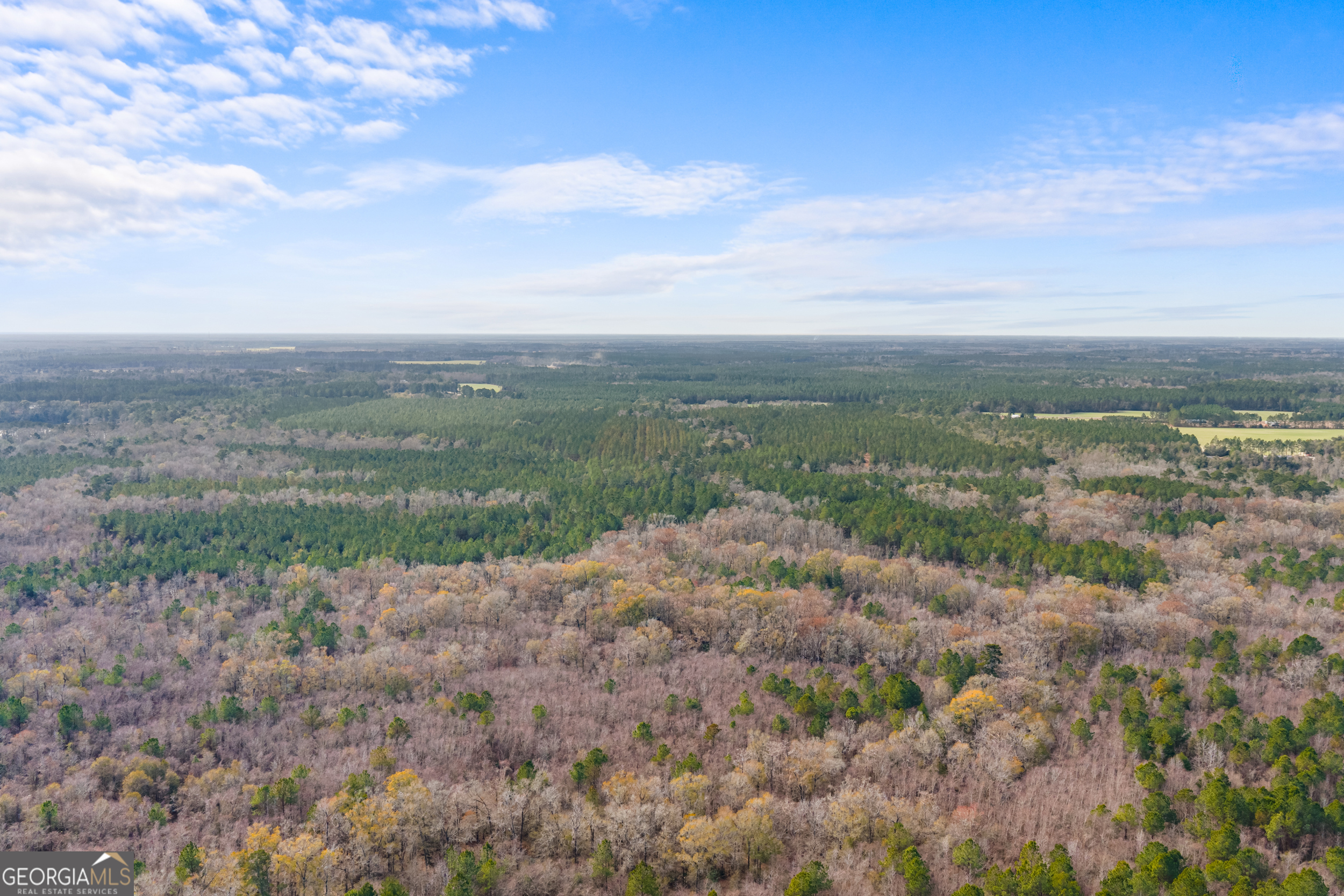 1000 Old River Road South Brooklet, GA 30415 - Photo 29 of 55