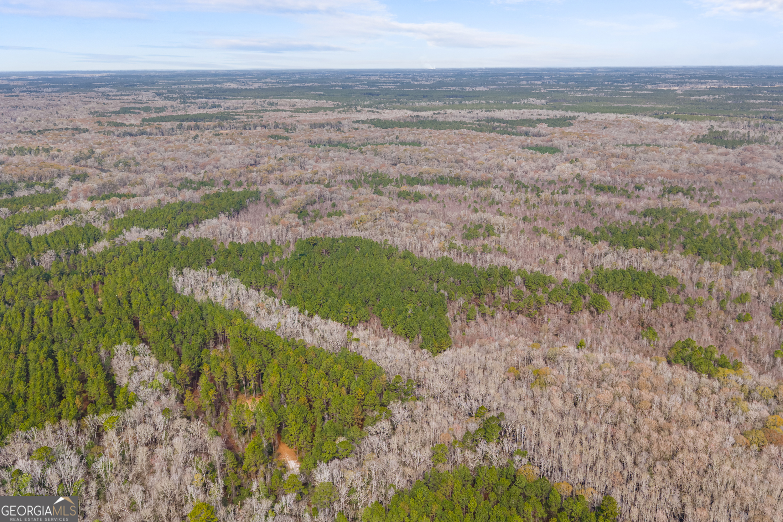 1000 Old River Road South Brooklet, GA 30415 - Photo 32 of 55 a view of an ocean and beach