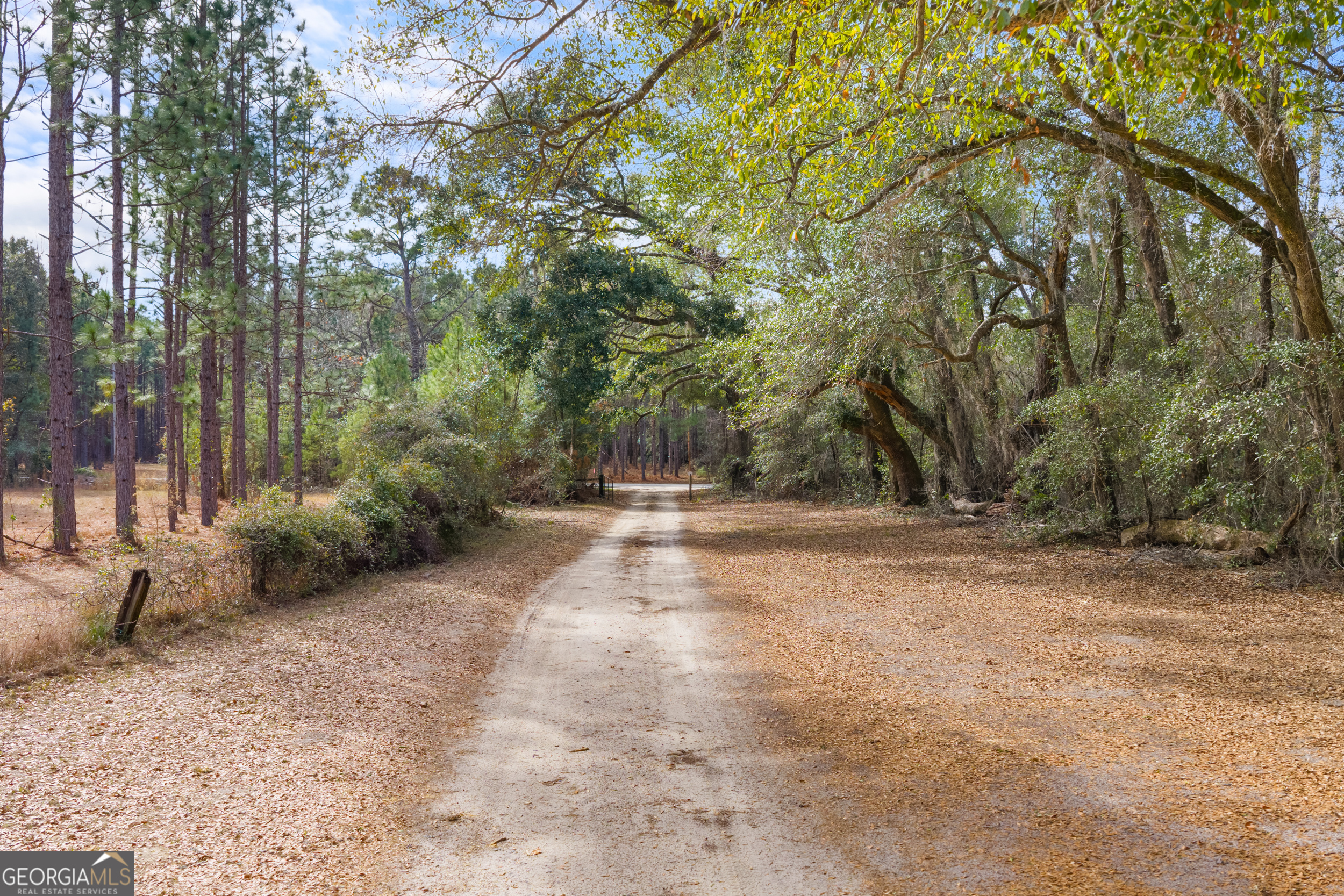 1000 Old River Road South Brooklet, GA 30415 - Photo 33 of 55 a view of backyard with green space