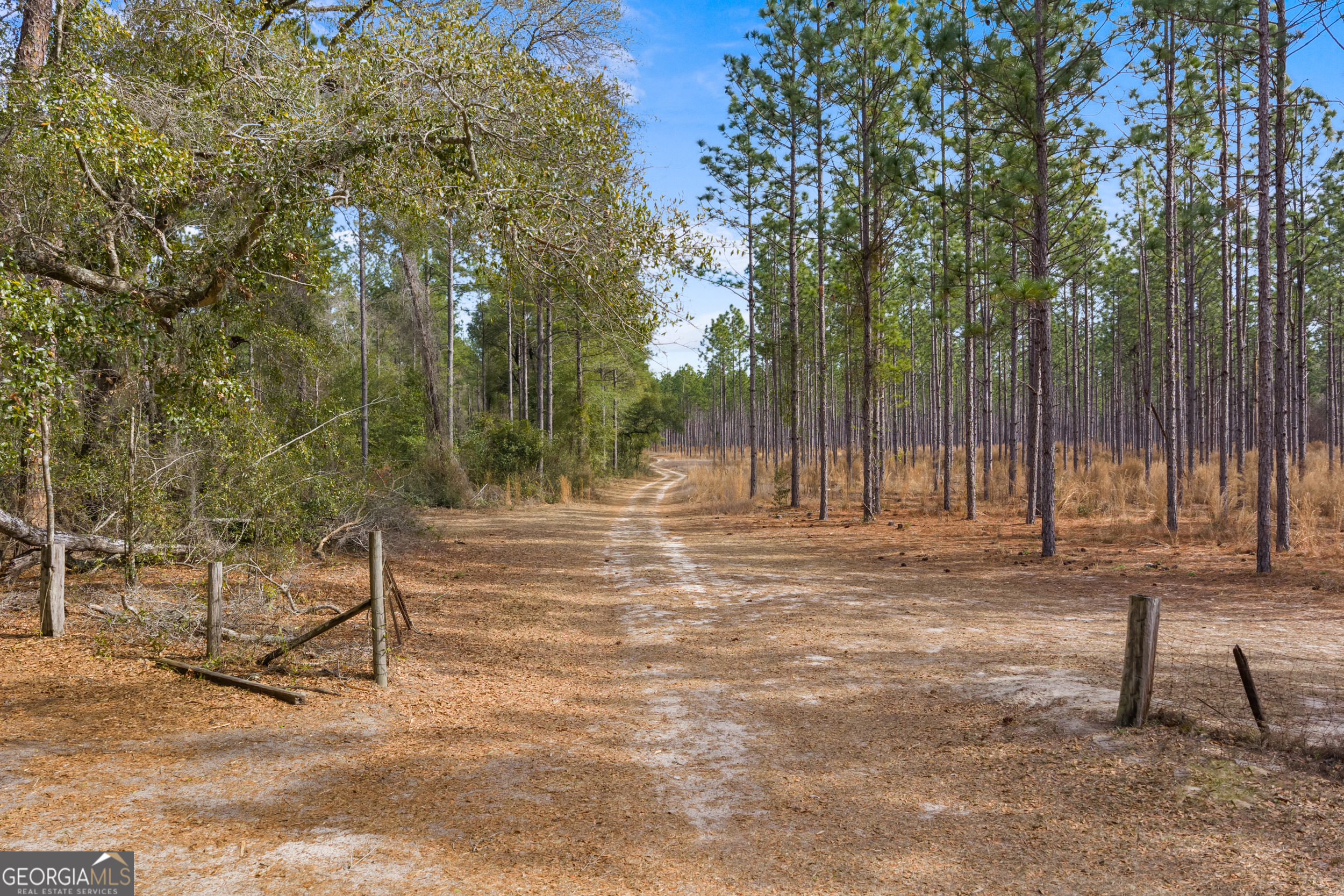 1000 Old River Road South Brooklet, GA 30415 - Photo 35 of 55 a view of a park with a bench