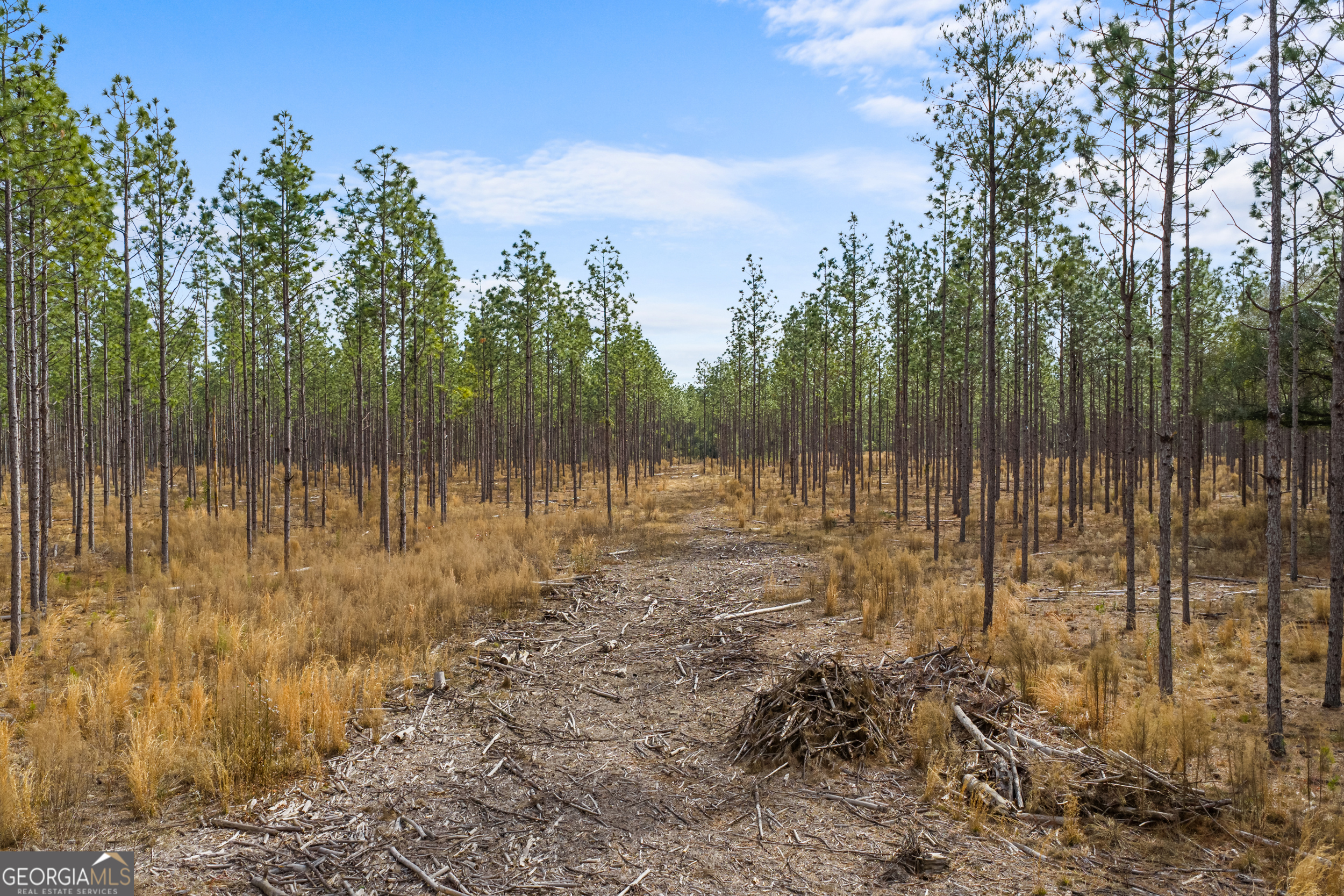 1000 Old River Road South Brooklet, GA 30415 - Photo 36 of 55 a view of a small yard