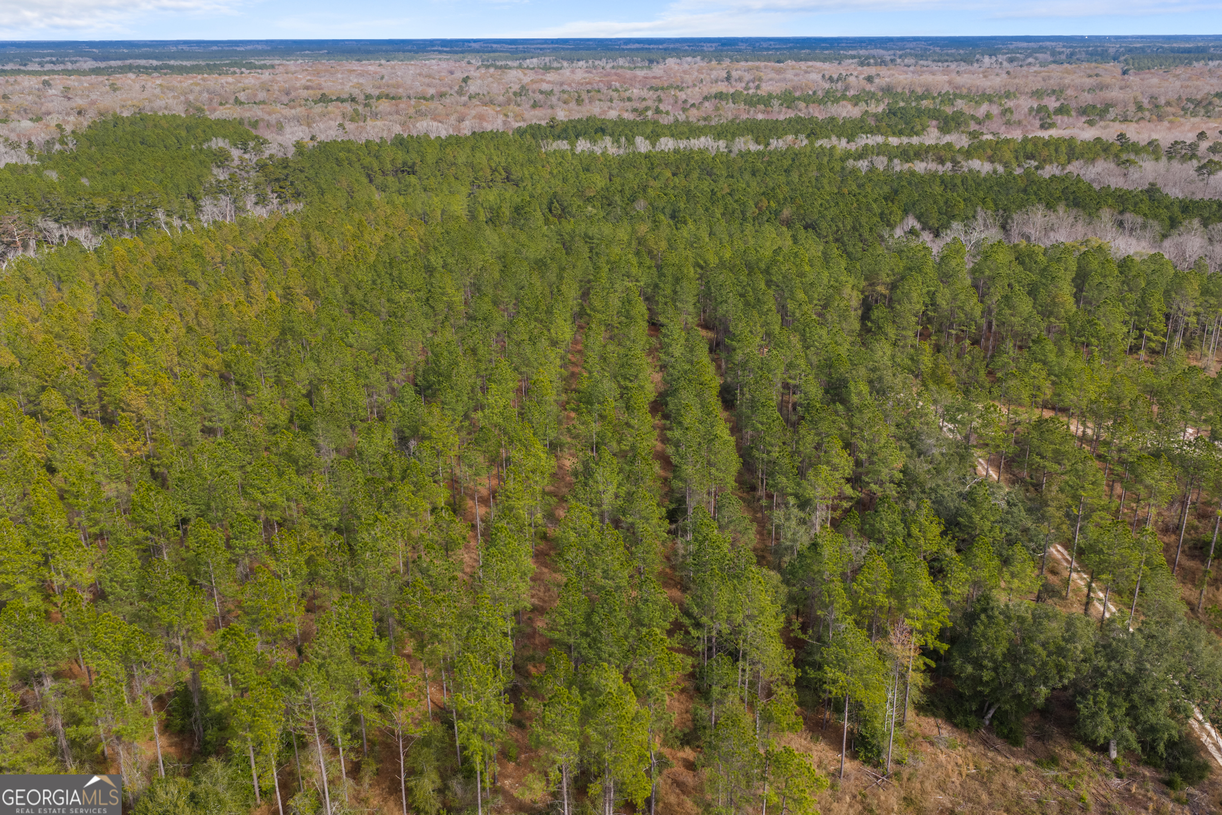 1000 Old River Road South Brooklet, GA 30415 - Photo 38 of 55 a view of a lake with a mountain in the background