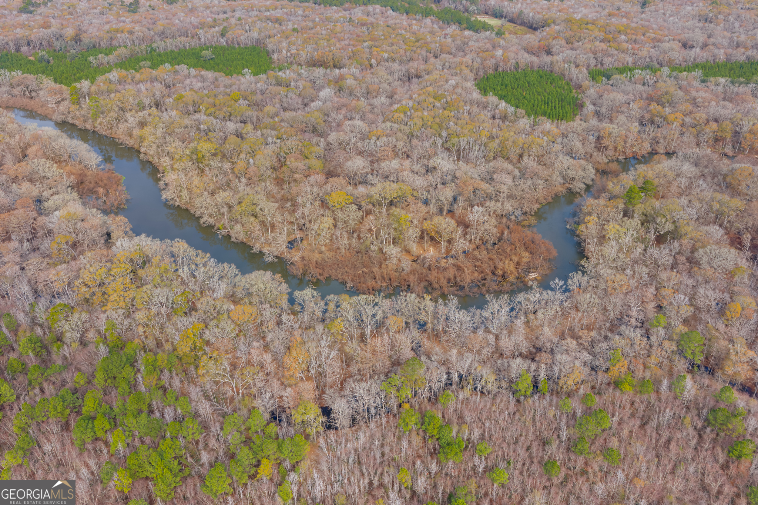 1000 Old River Road South Brooklet, GA 30415 - Photo 4 of 55