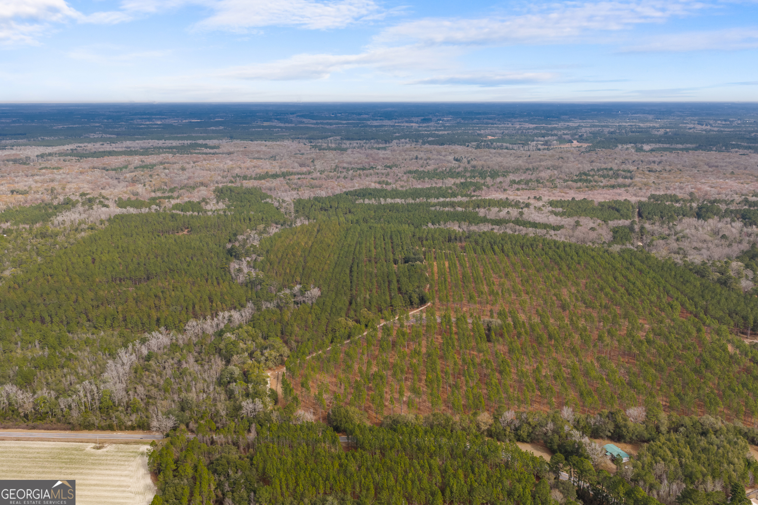 1000 Old River Road South Brooklet, GA 30415 - Photo 42 of 55 a view of lake with city
