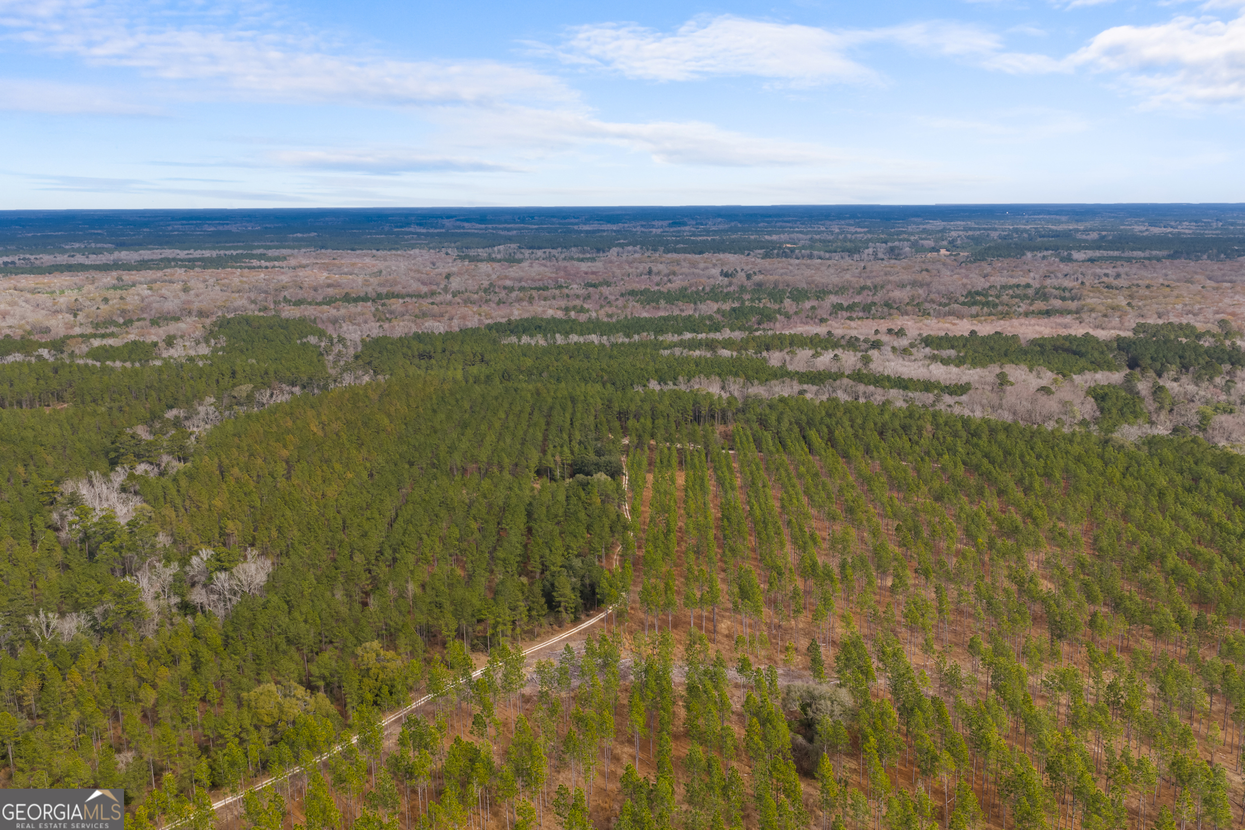 1000 Old River Road South Brooklet, GA 30415 - Photo 43 of 55 a view of an ocean