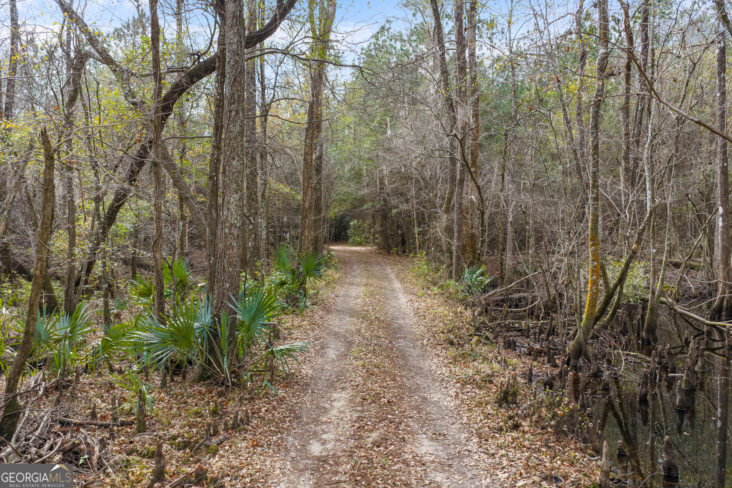 1000 Old River Road South Brooklet, GA 30415 - Photo 44 of 55 a backyard of a house with lots of green space