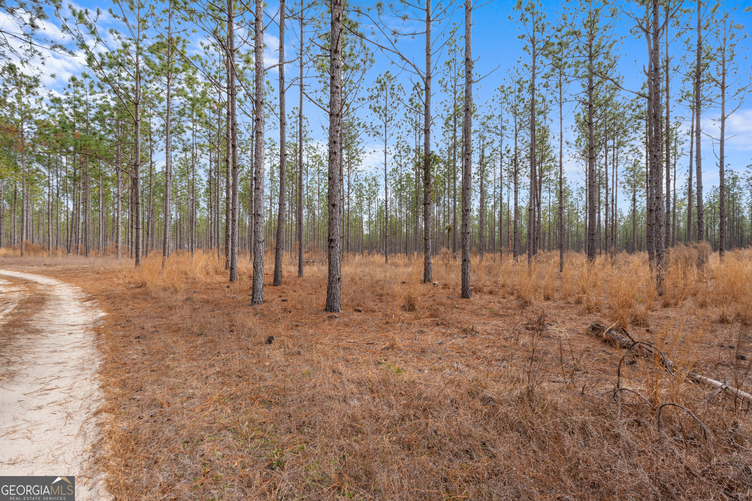 1000 Old River Road South Brooklet, GA 30415 - Photo 47 of 55 a backyard of a house with lots of green space