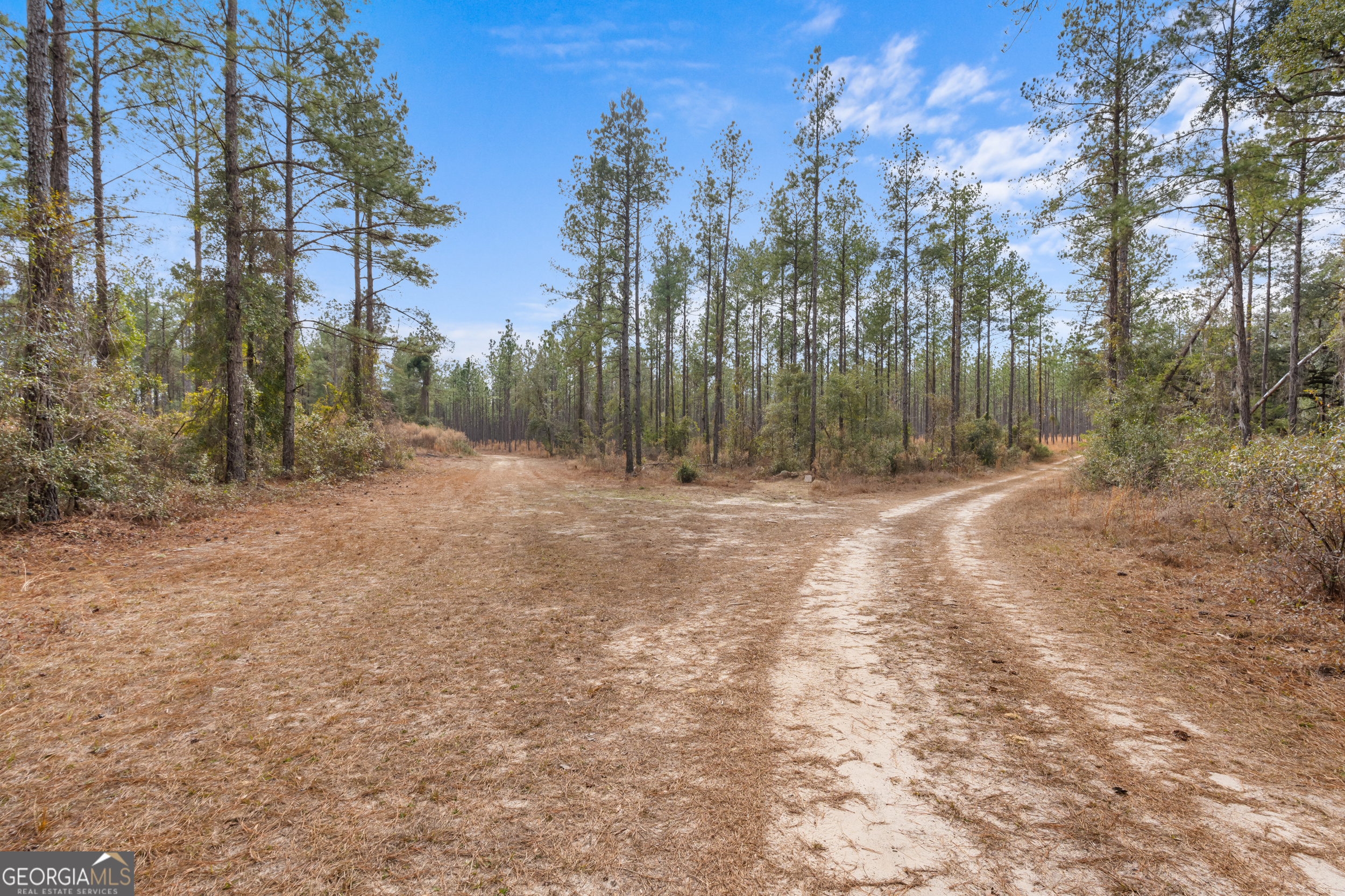 1000 Old River Road South Brooklet, GA 30415 - Photo 48 of 55 a view of outdoor space with trees