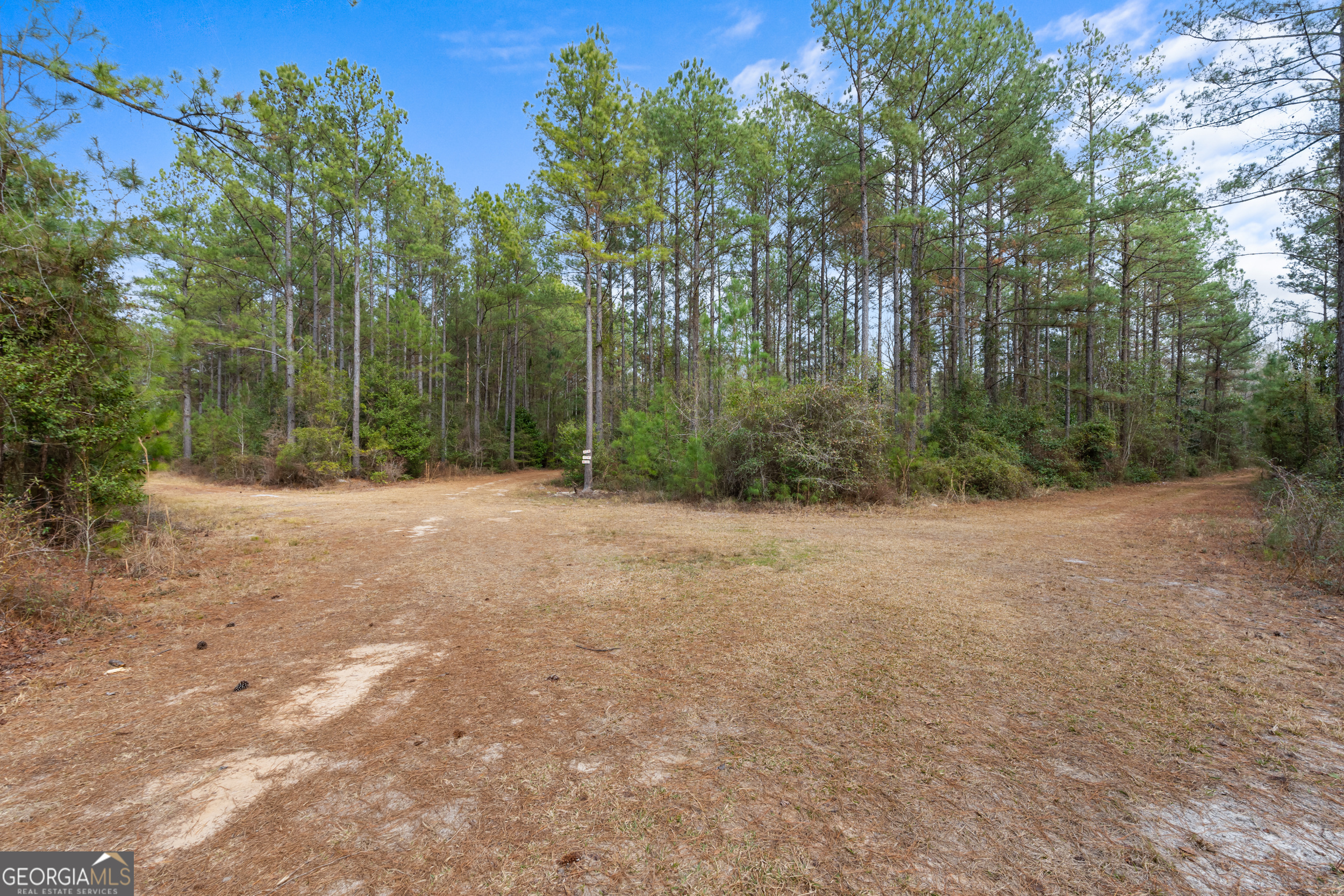 1000 Old River Road South Brooklet, GA 30415 - Photo 49 of 55 a view of outdoor space with trees