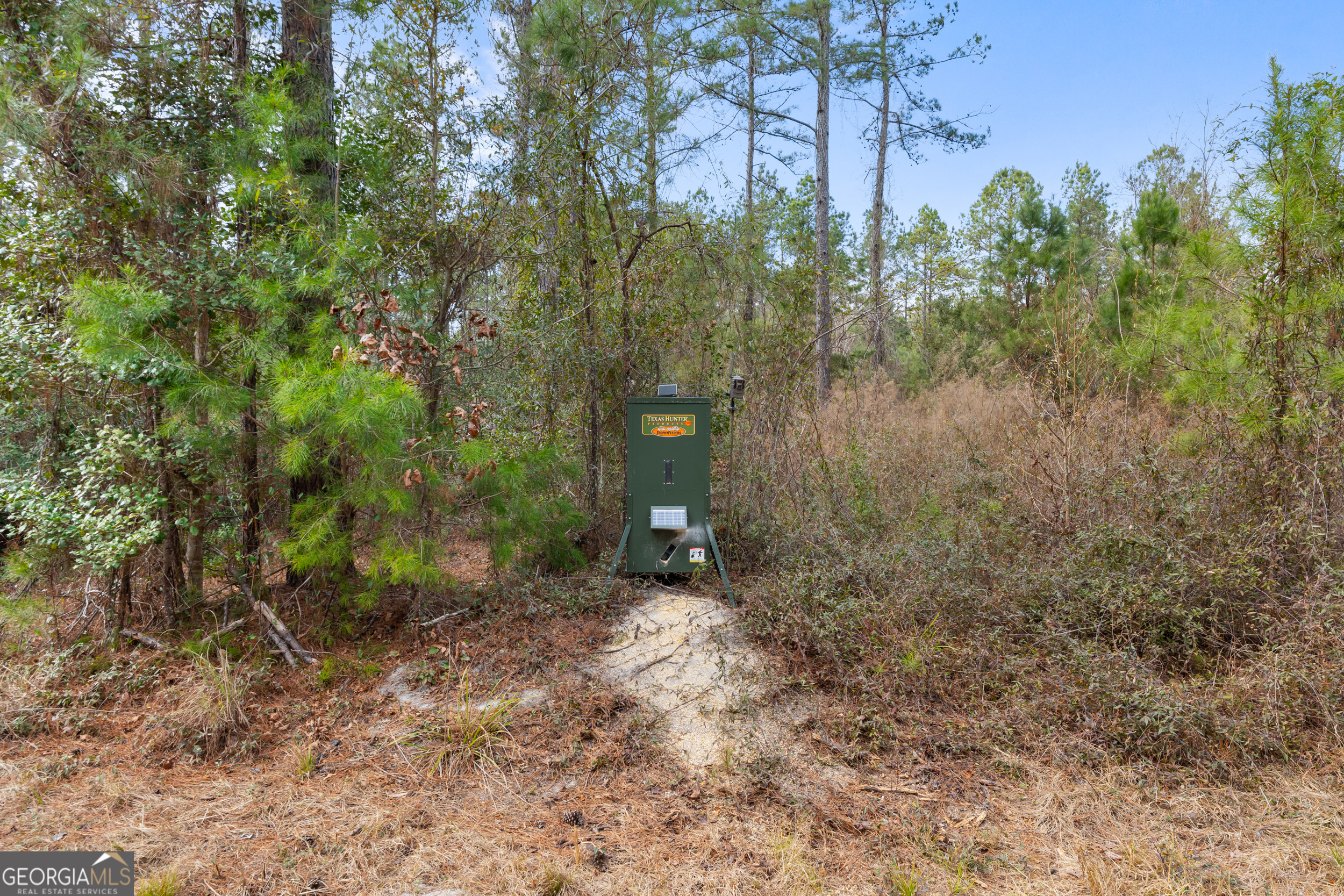1000 Old River Road South Brooklet, GA 30415 - Photo 50 of 55 a backyard of a house with lots of green space