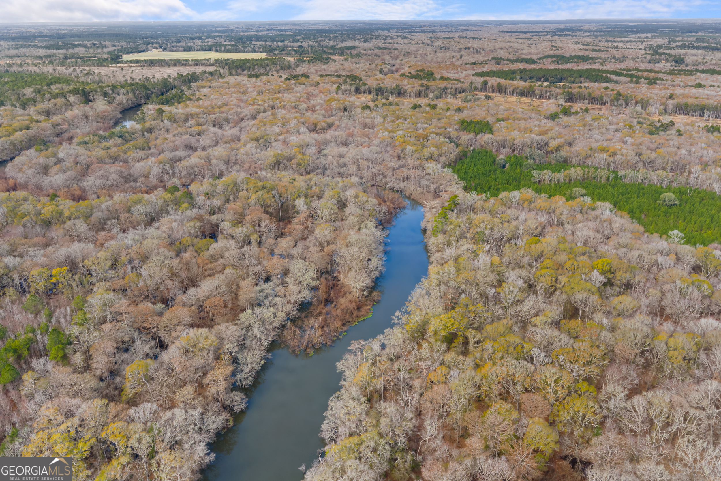 1000 Old River Road South Brooklet, GA 30415 - Photo 5 of 55 a view of a lake with beach and mountain view