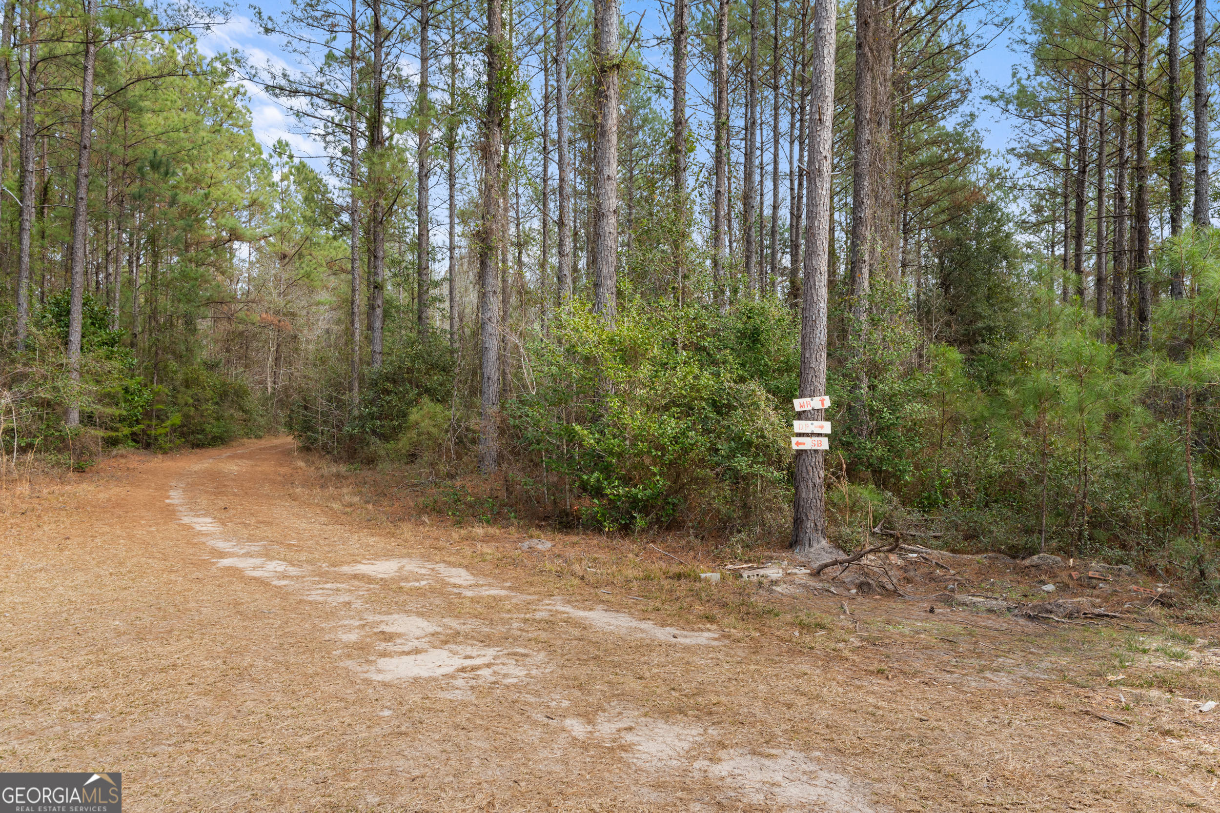 1000 Old River Road South Brooklet, GA 30415 - Photo 51 of 55 a view of a forest with trees