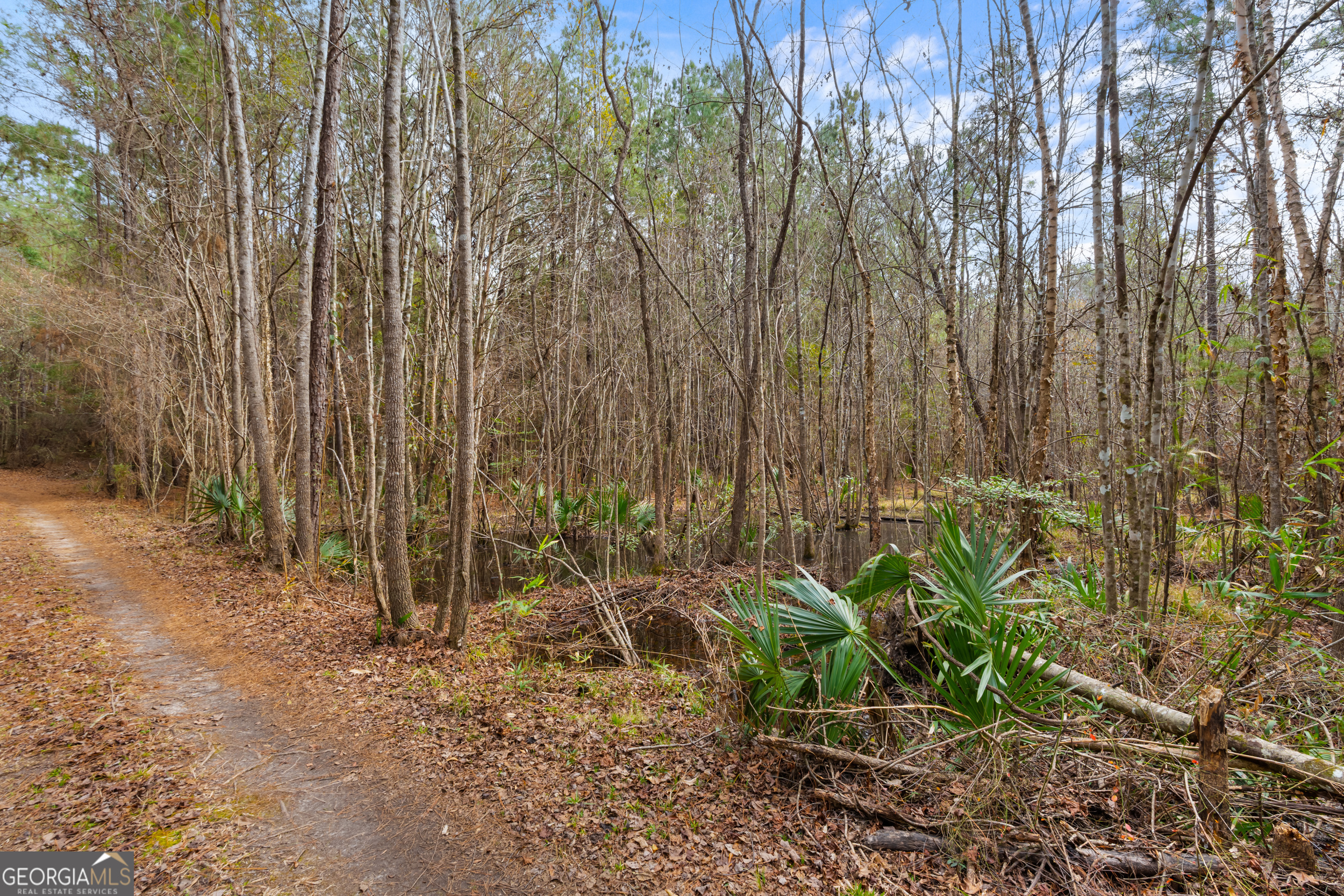 1000 Old River Road South Brooklet, GA 30415 - Photo 52 of 55 a backyard of a house with lots of potted plants