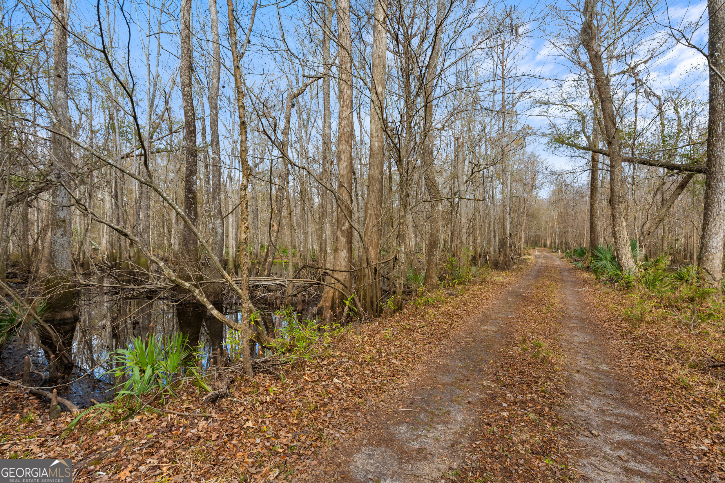 1000 Old River Road South Brooklet, GA 30415 - Photo 53 of 55 a backyard of a house with lots of green space