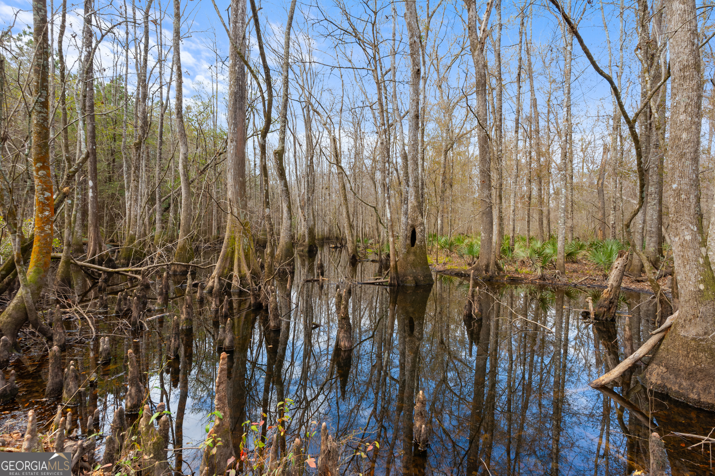 1000 Old River Road South Brooklet, GA 30415 - Photo 54 of 55