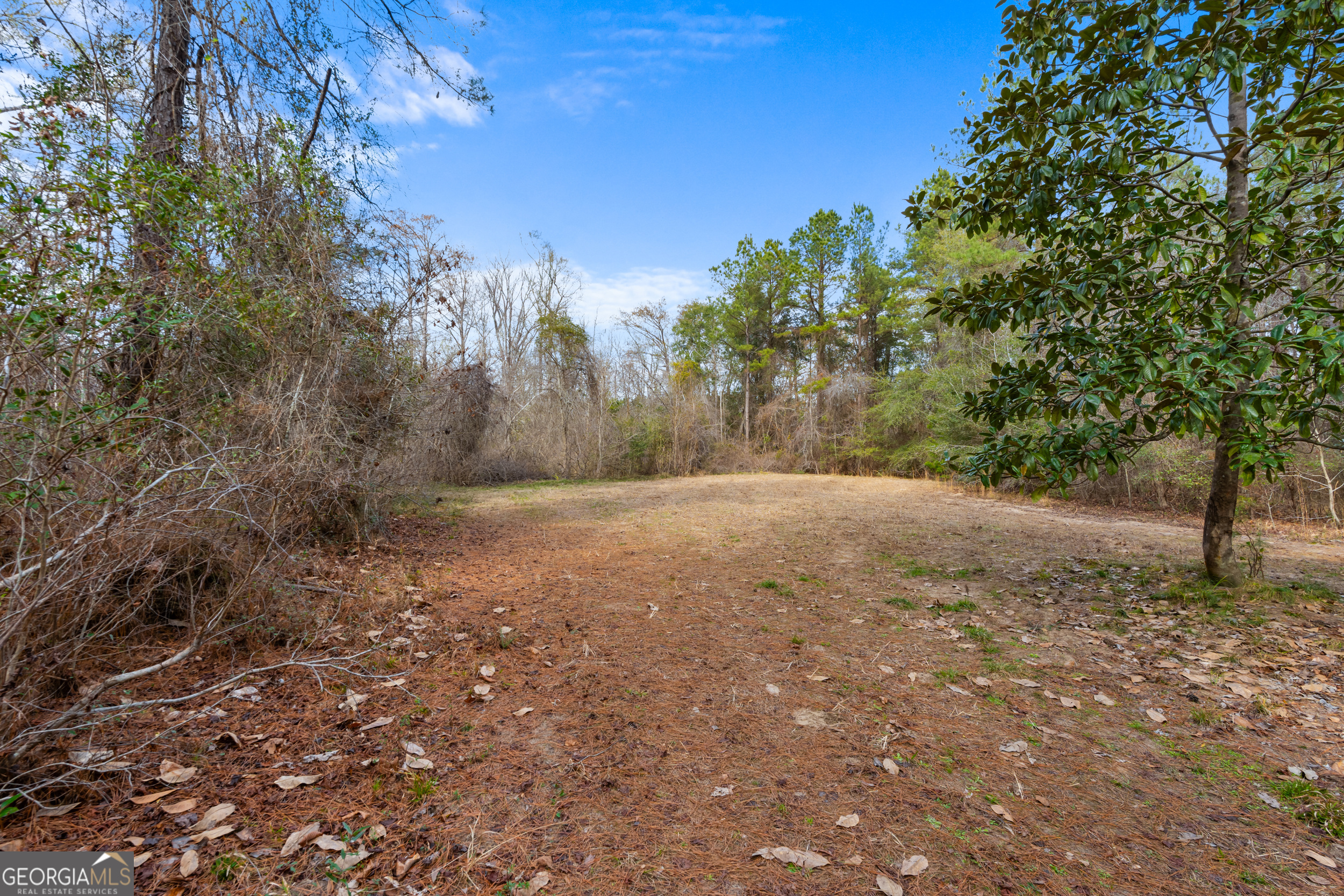 1000 Old River Road South Brooklet, GA 30415 - Photo 55 of 55 a view of dirt yard with a tree