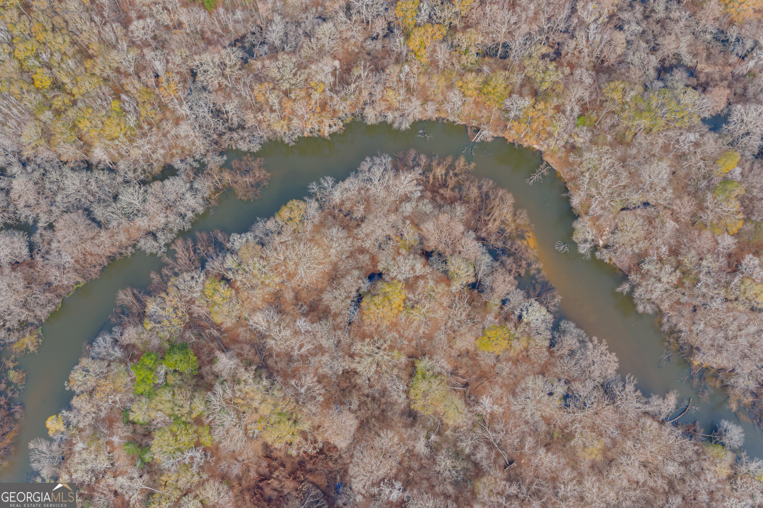 1000 Old River Road South Brooklet, GA 30415 - Photo 6 of 55 a aerial view of a house with a yard