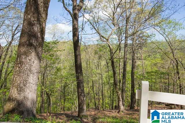 364 Signal Trail Pelham, AL 35124 - Photo 25 of 26