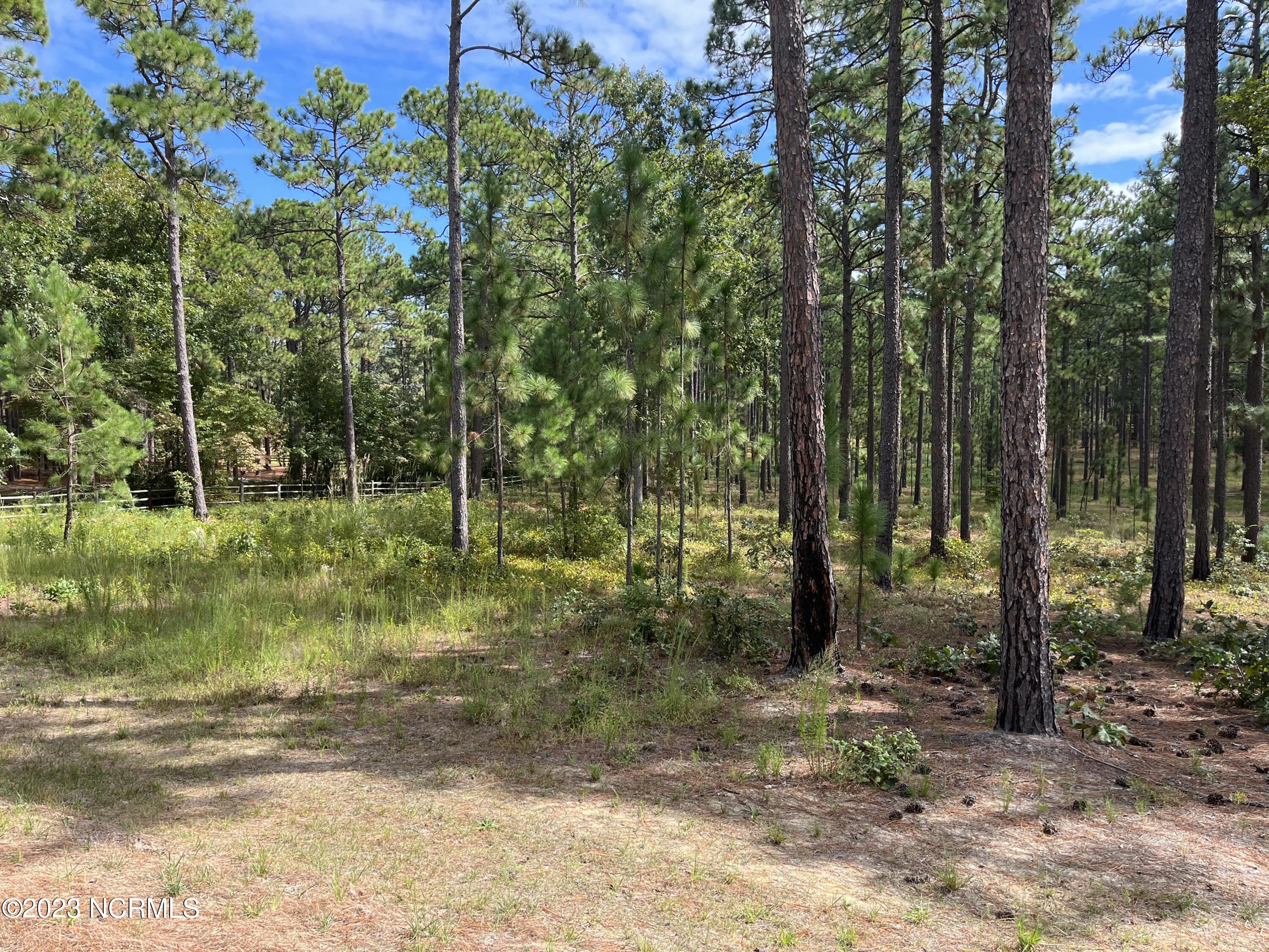 385 North Fort Bragg Road Southern Pines, NC 28387 - Photo 2 of 10 IMG-4250