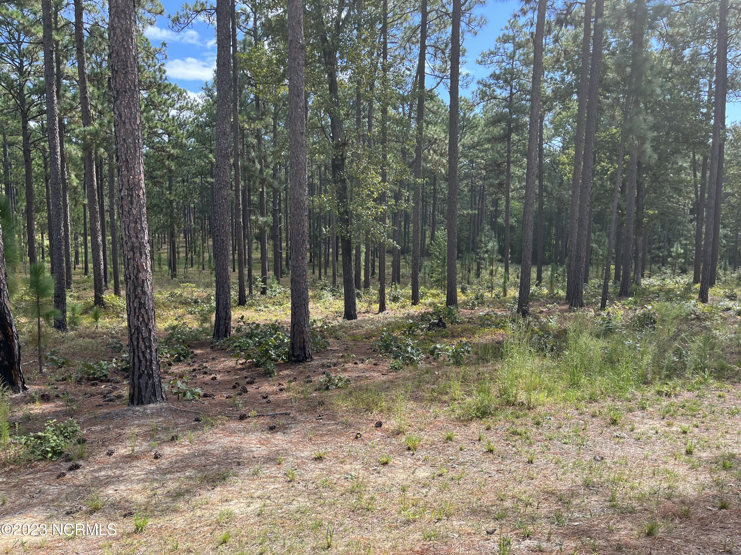 385 North Fort Bragg Road Southern Pines, NC 28387 - Photo 3 of 10 IMG-4251