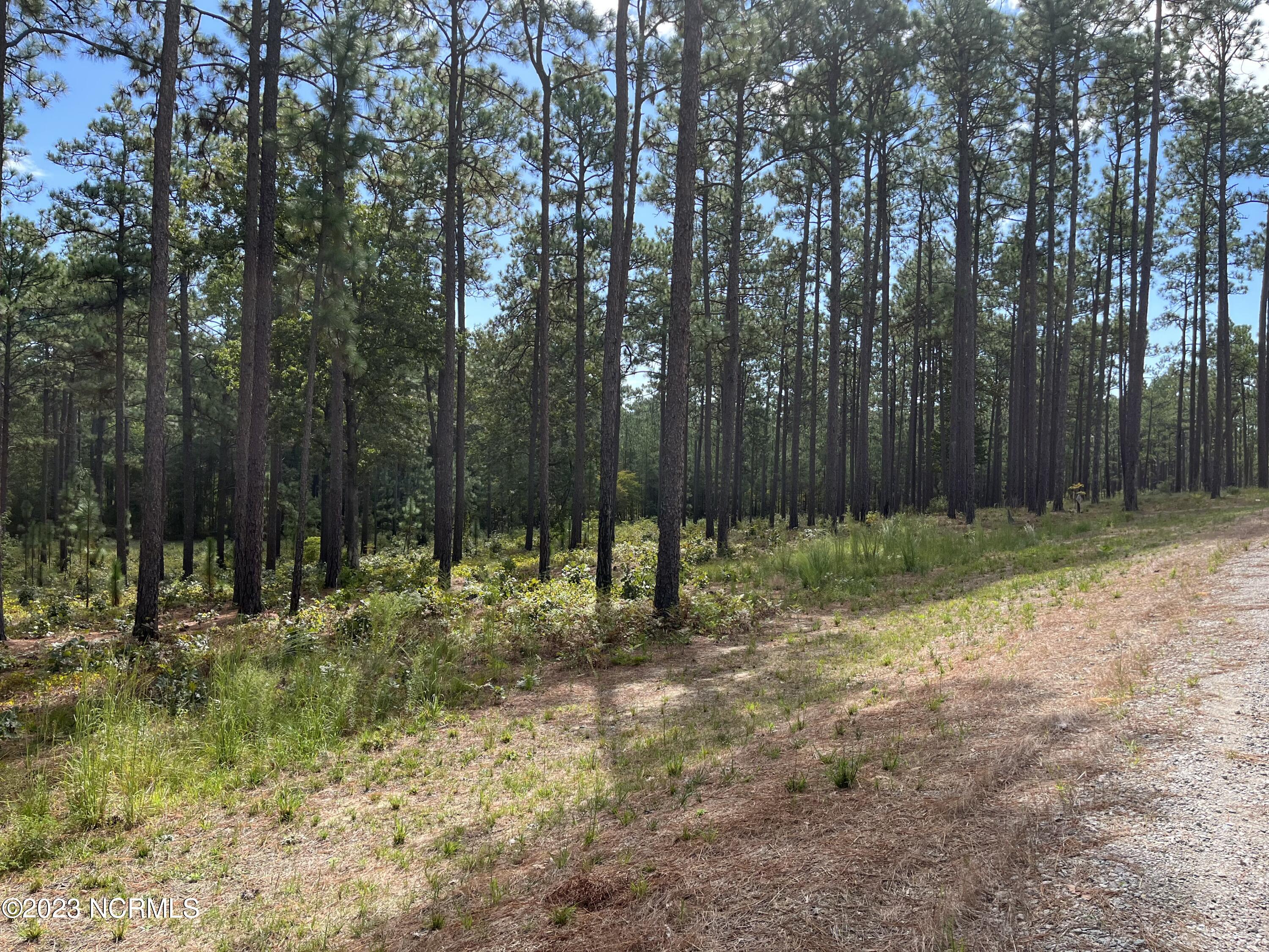 385 North Fort Bragg Road Southern Pines, NC 28387 - Photo 4 of 10 IMG-4252