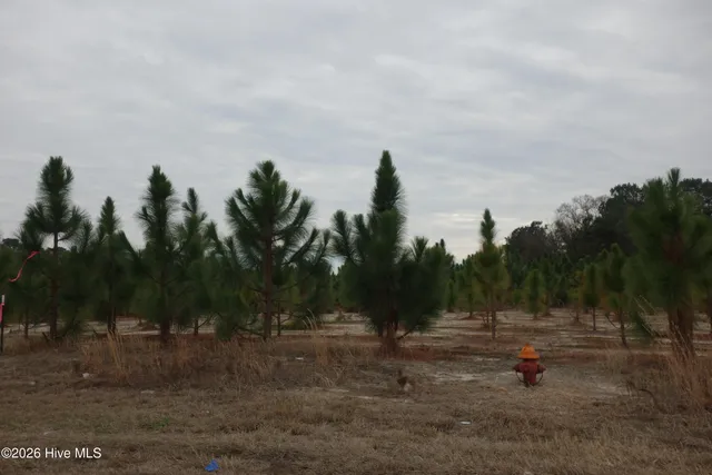 $59,999 | Lot 41 Stuarts Mill Road, Fairmont, NC 28340