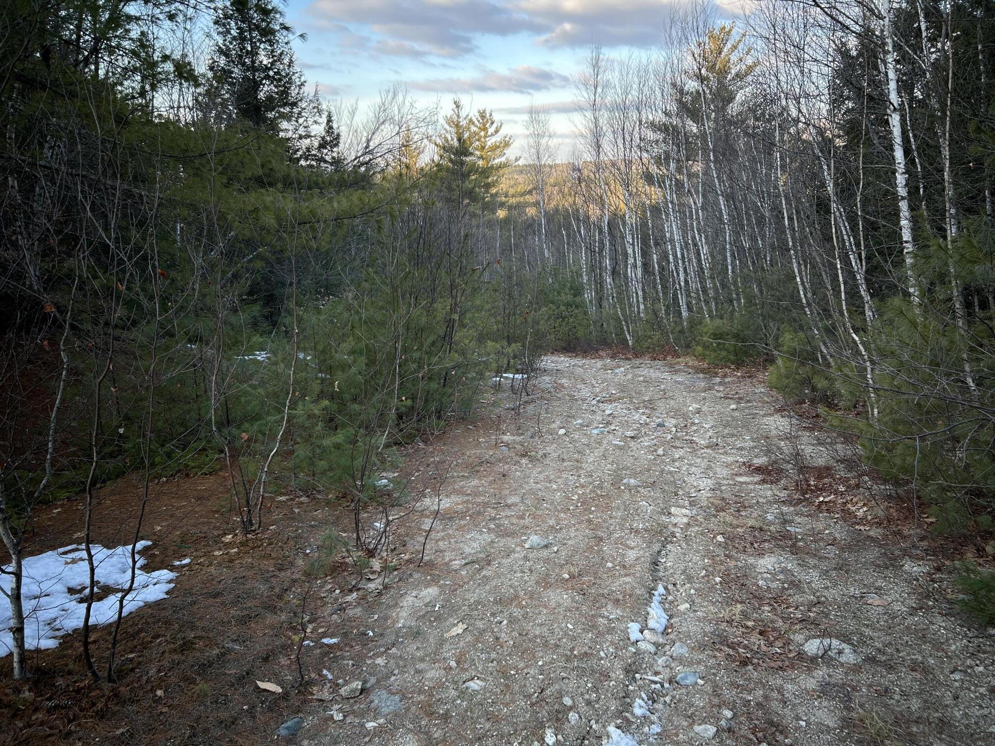 Map13-lot11 Field View Road Fryeburg, ME 04037 - Photo 10 of 37