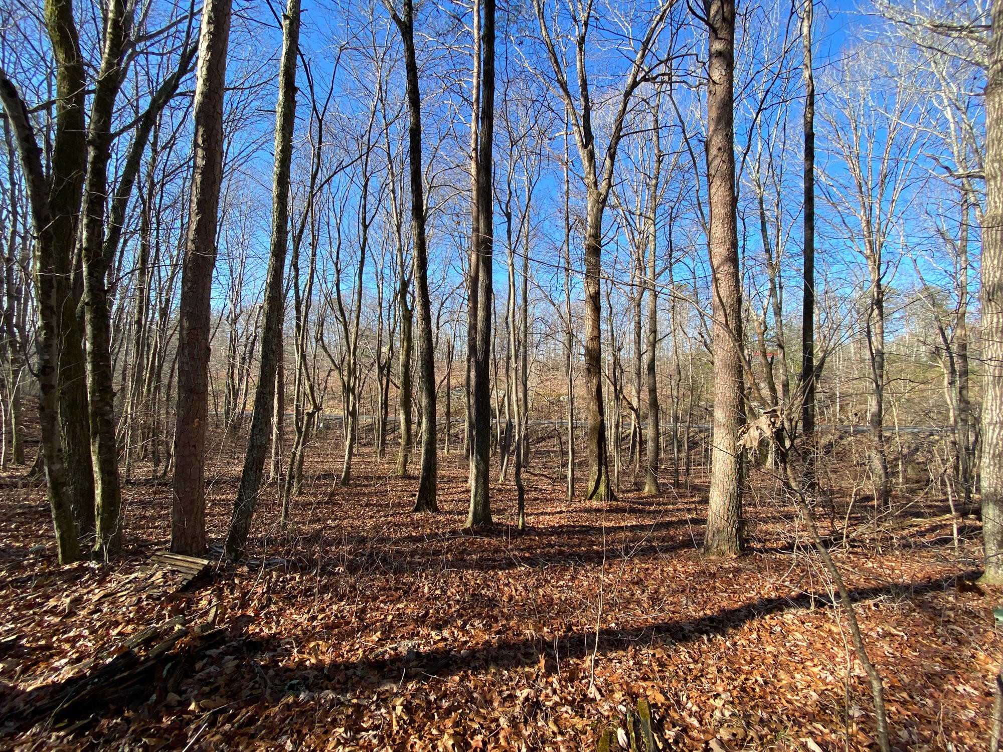 7 Lookout Drive Rising Fawn, GA 30738 - Photo 15 of 25